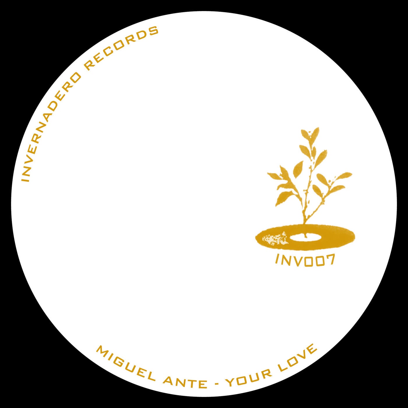 Cover - Miguel Ante - Your Love (Original Mix)