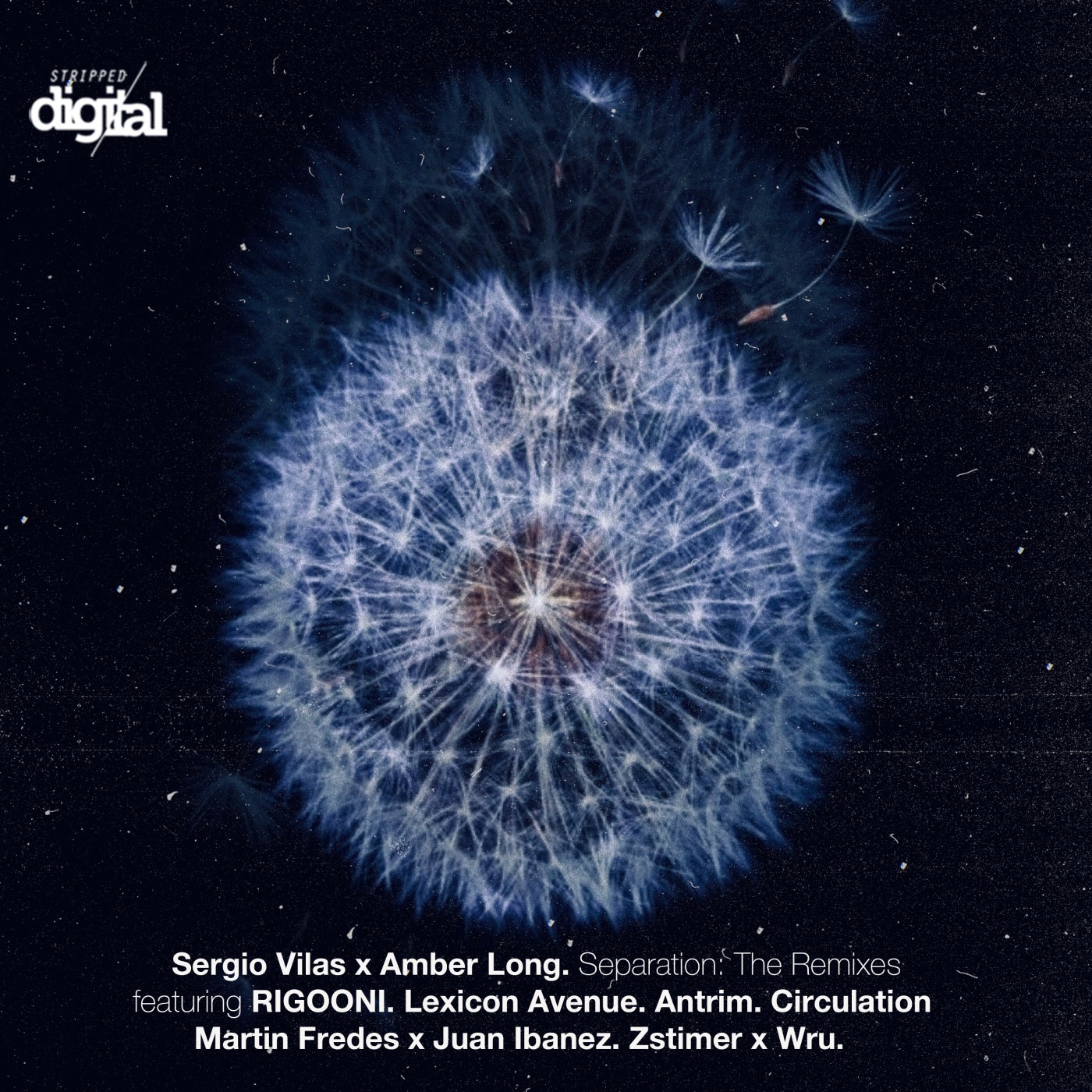 Cover - Amber Long, Sergio Vilas - Separation (Lexicon Avenue Remix)
