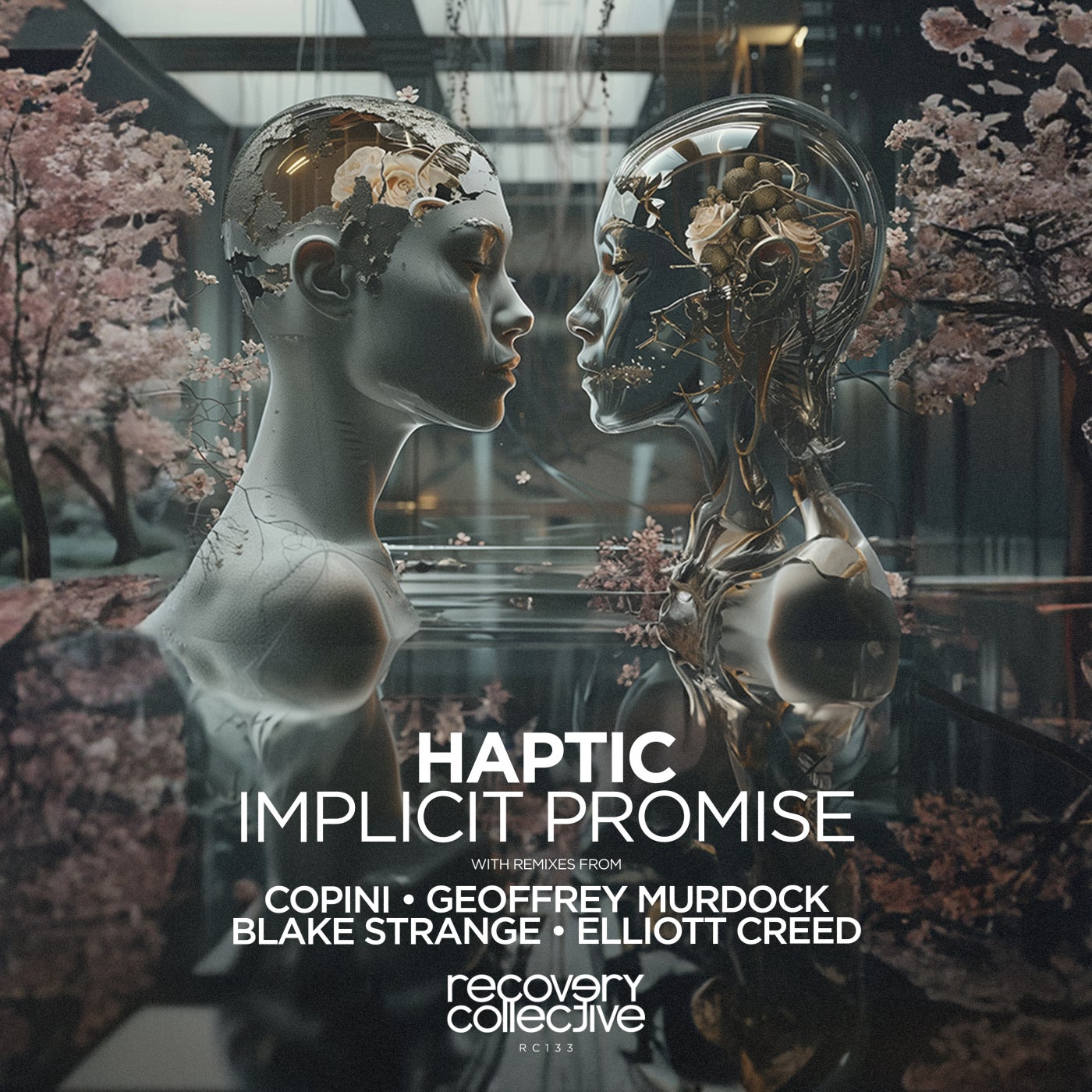 Cover - Haptic - Descent to Waking (Copini Remix)