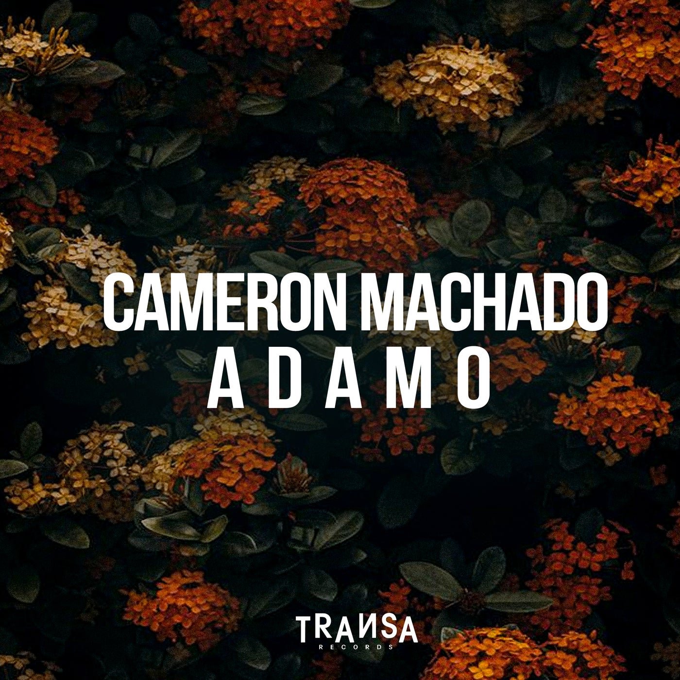 Cover - Cameron Machado - Adamo (Original Mix)
