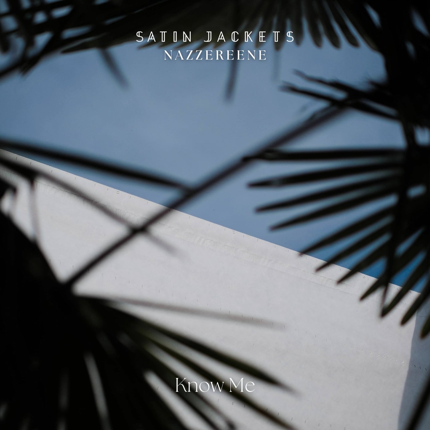 Cover - Satin Jackets, Nazzereene - Know Me (Original Mix)