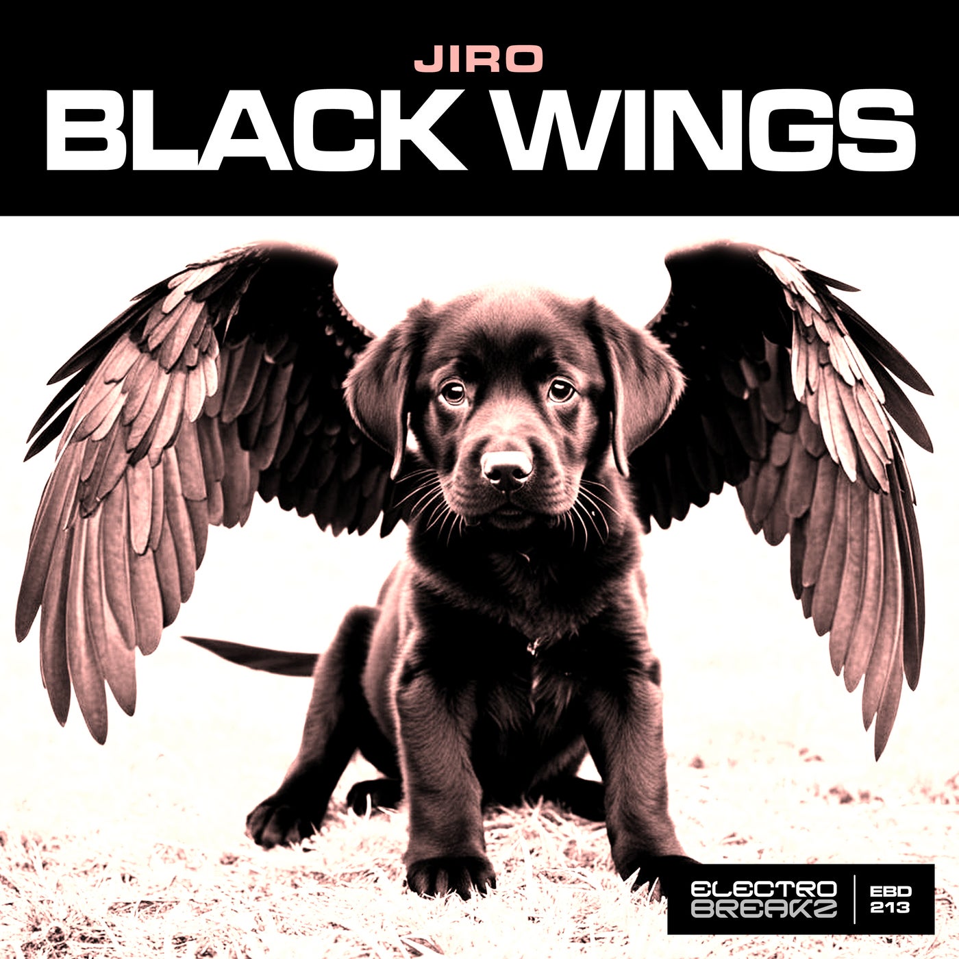 Cover - Jiro - Black Wings (Original Mix)