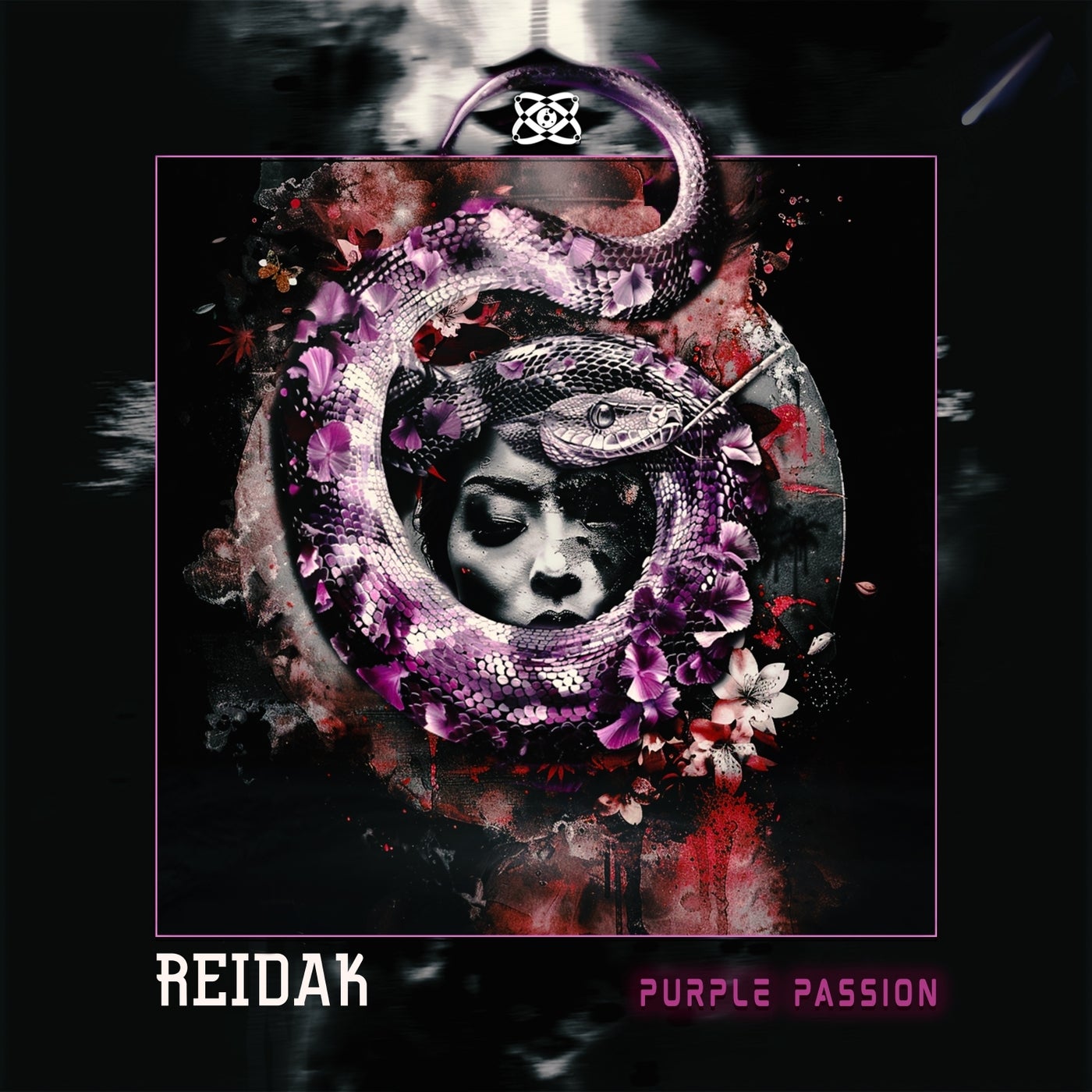 Cover - Reidak - Purple Passion (Original Mix)