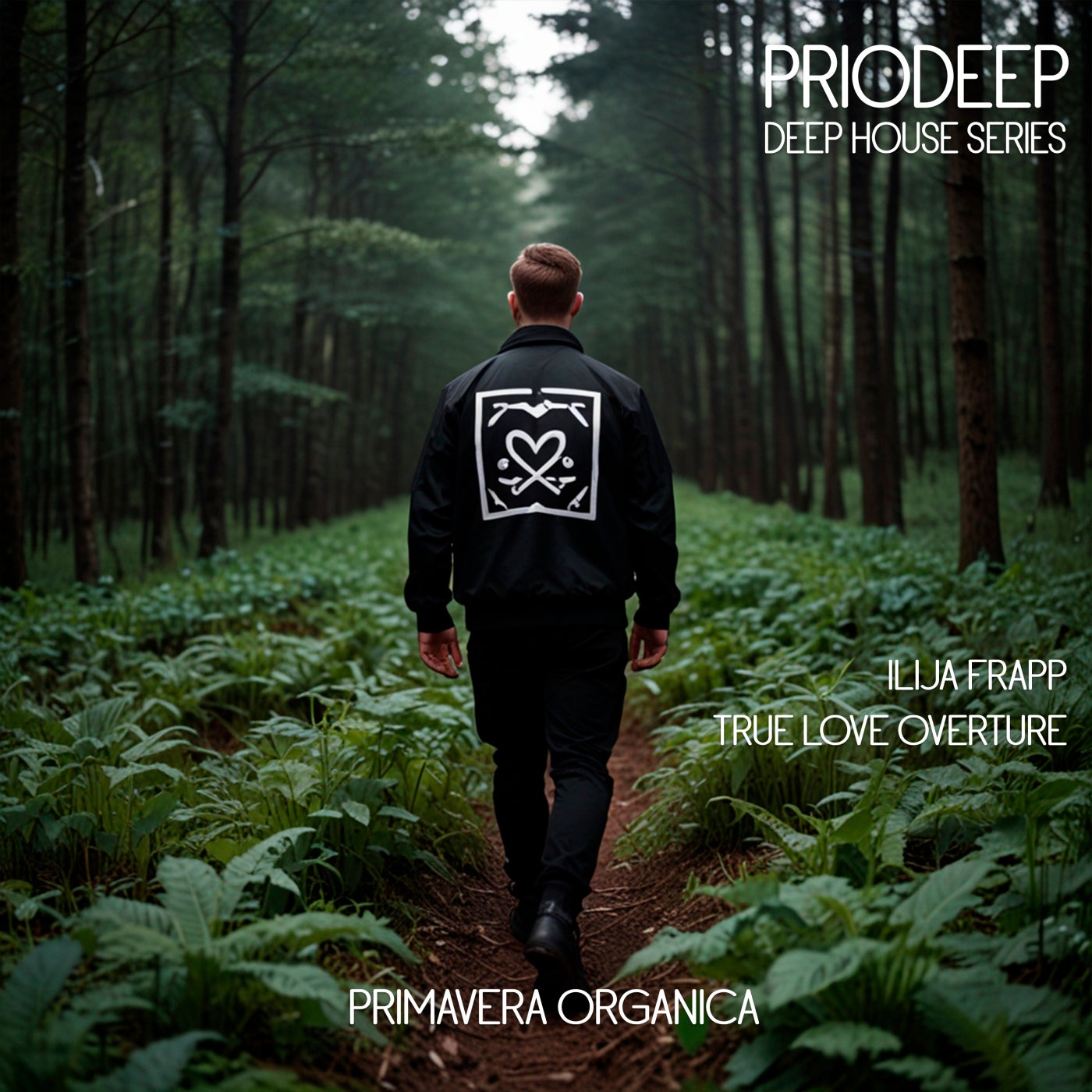 Cover - Ilija Frapp - True Love Overture (Original Mix)