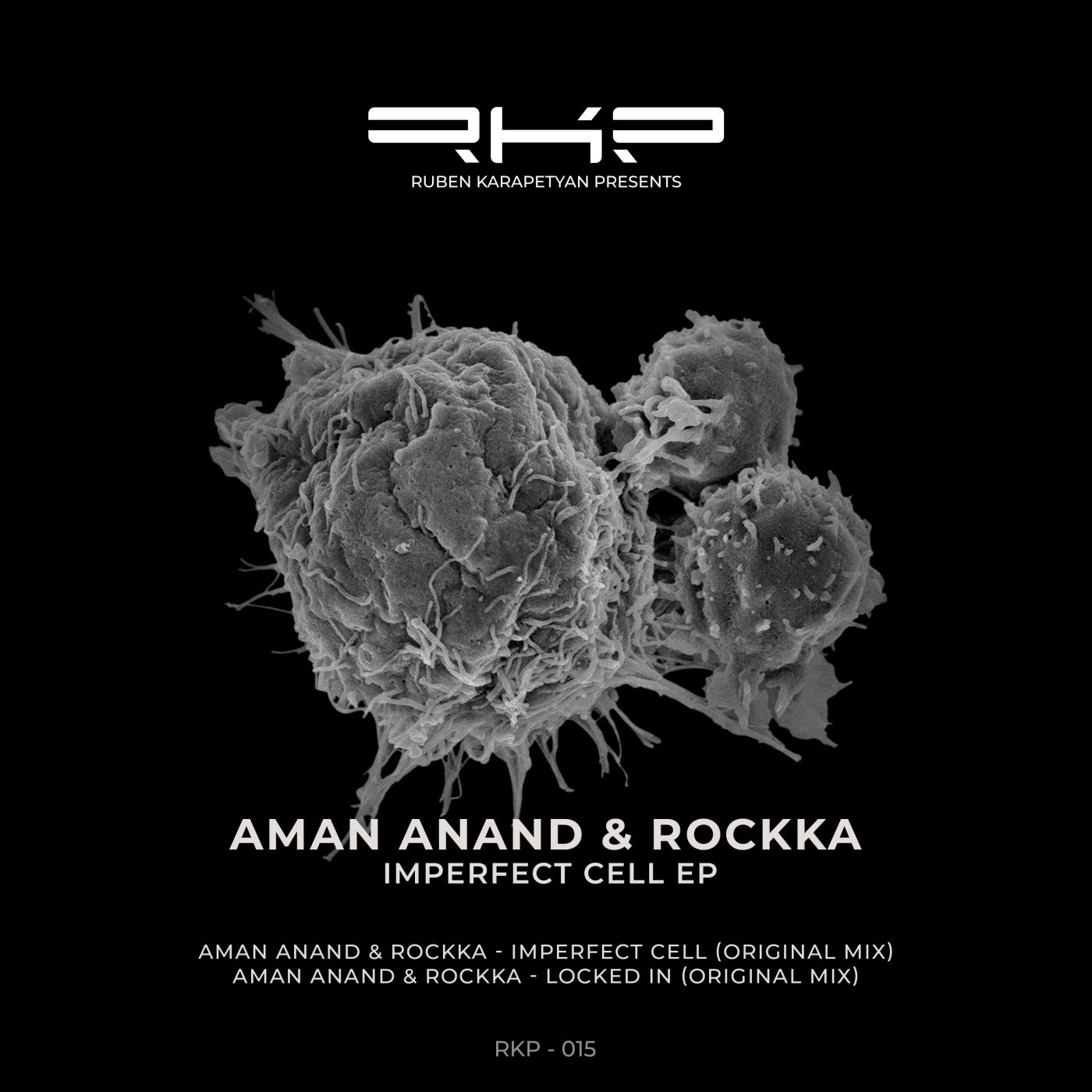 Cover - Aman Anand, Rockka - Imperfect Cell (Original Mix)