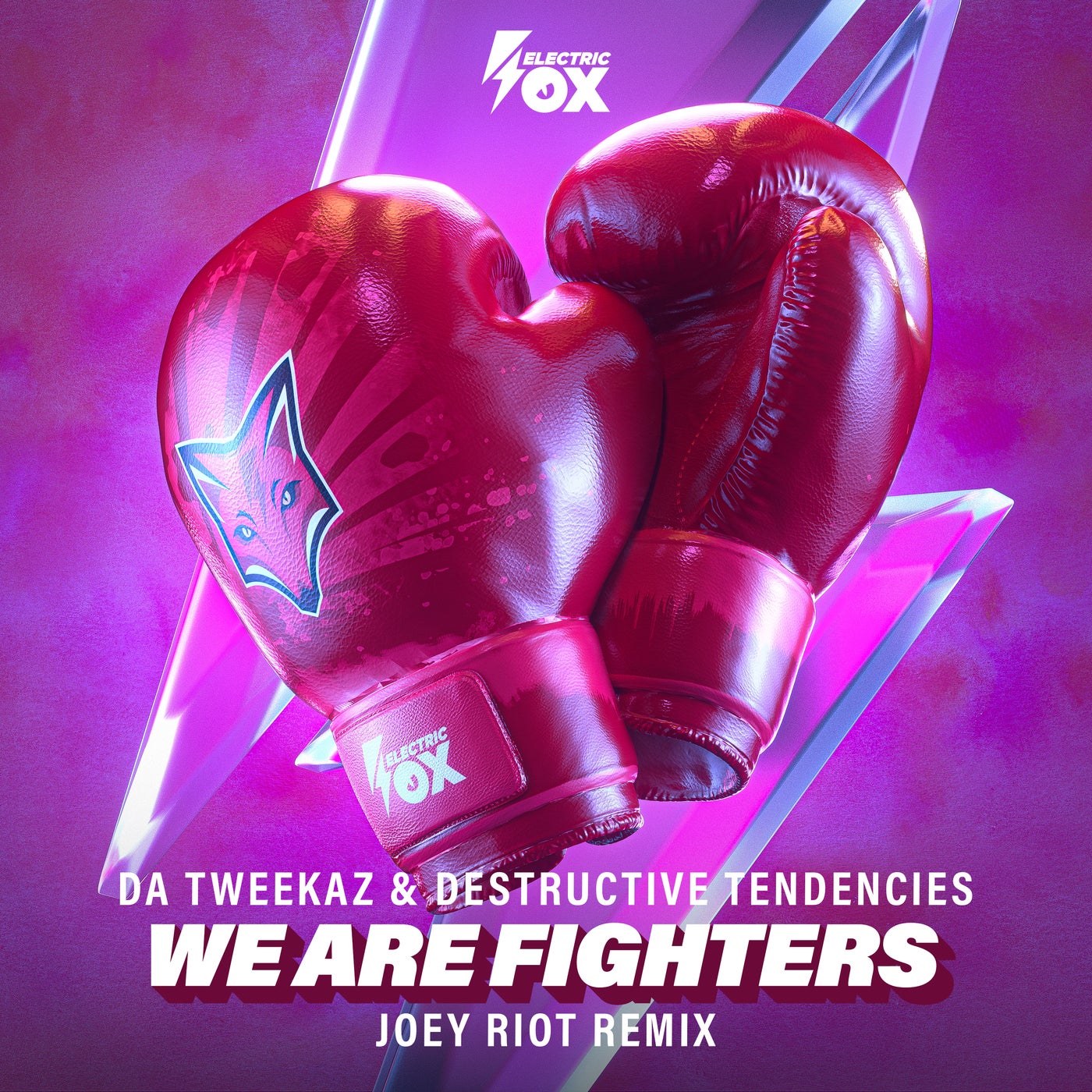 Cover - Da Tweekaz, Destructive Tendencies - We Are Fighters (Joey Riot Remix) (Extended Mix)