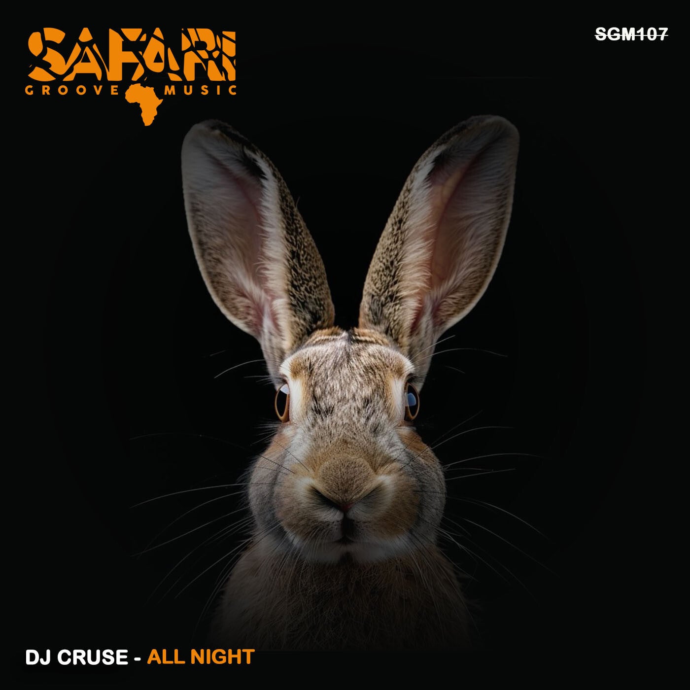 Cover - DJ Cruse - All Night (Original Mix)