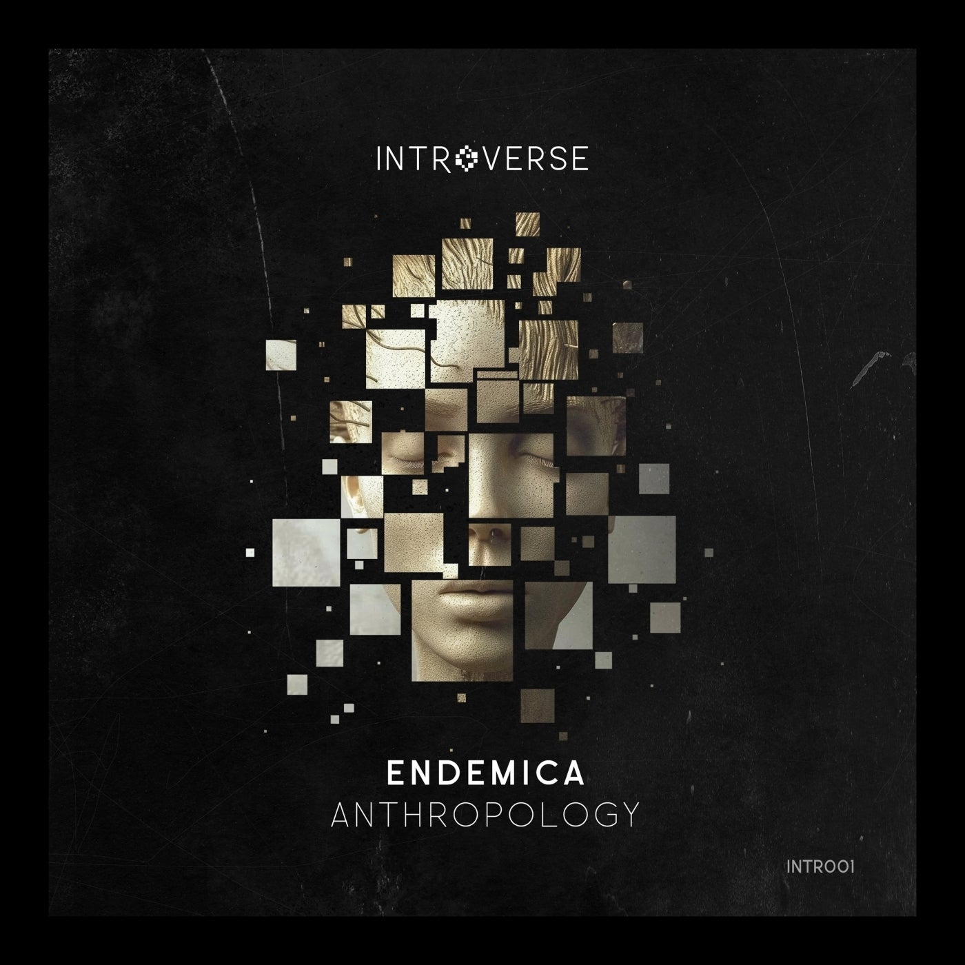 Cover - Endemica - Anthropology (Original Mix)