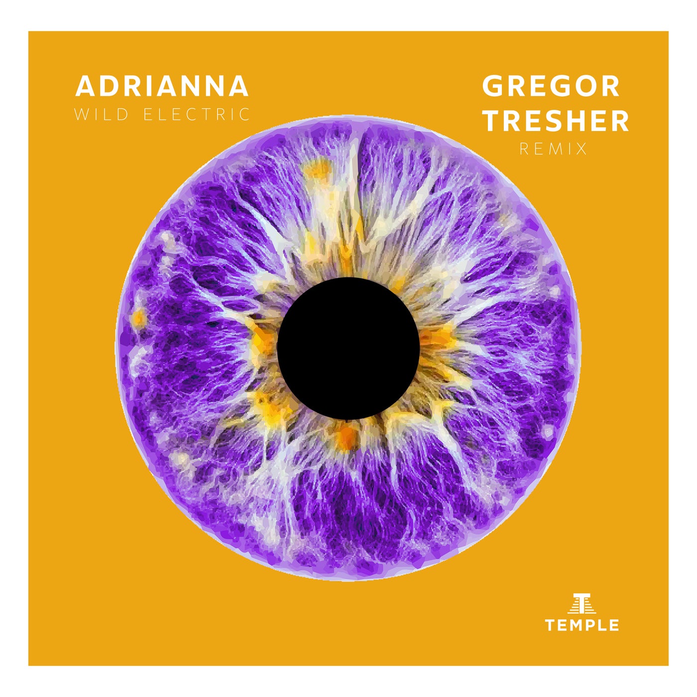 Cover - Gregor Tresher, ADRIANNA - WILD ELECTRIC (Gregor Tresher Remix)