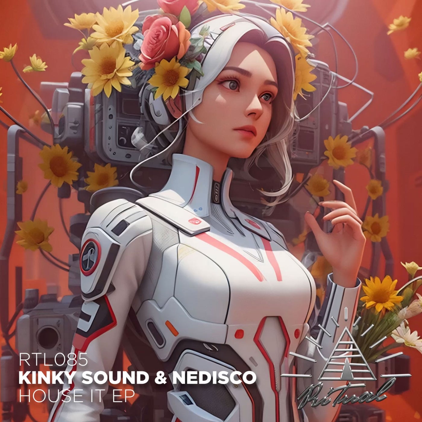 Cover - Kinky Sound, Nedisco - House It (Original Mix)