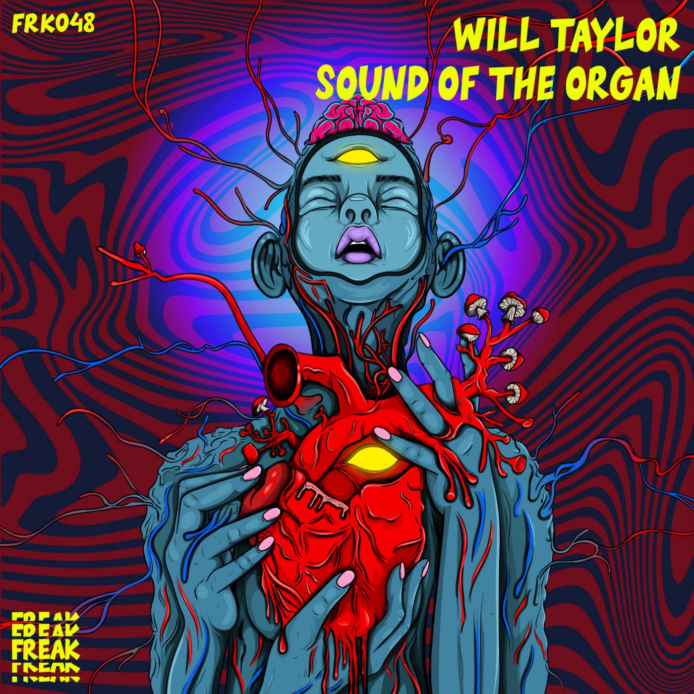Cover - Will Taylor (UK) - SOUND OF THE ORGAN (Original Mix)