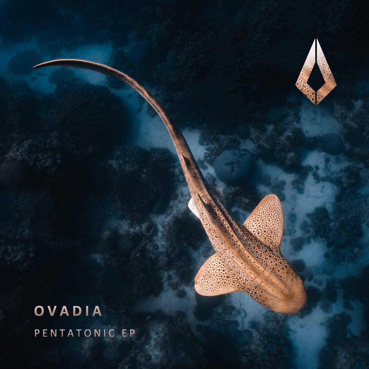 Cover - Ovadia - Pentatonic (Extended Mix)