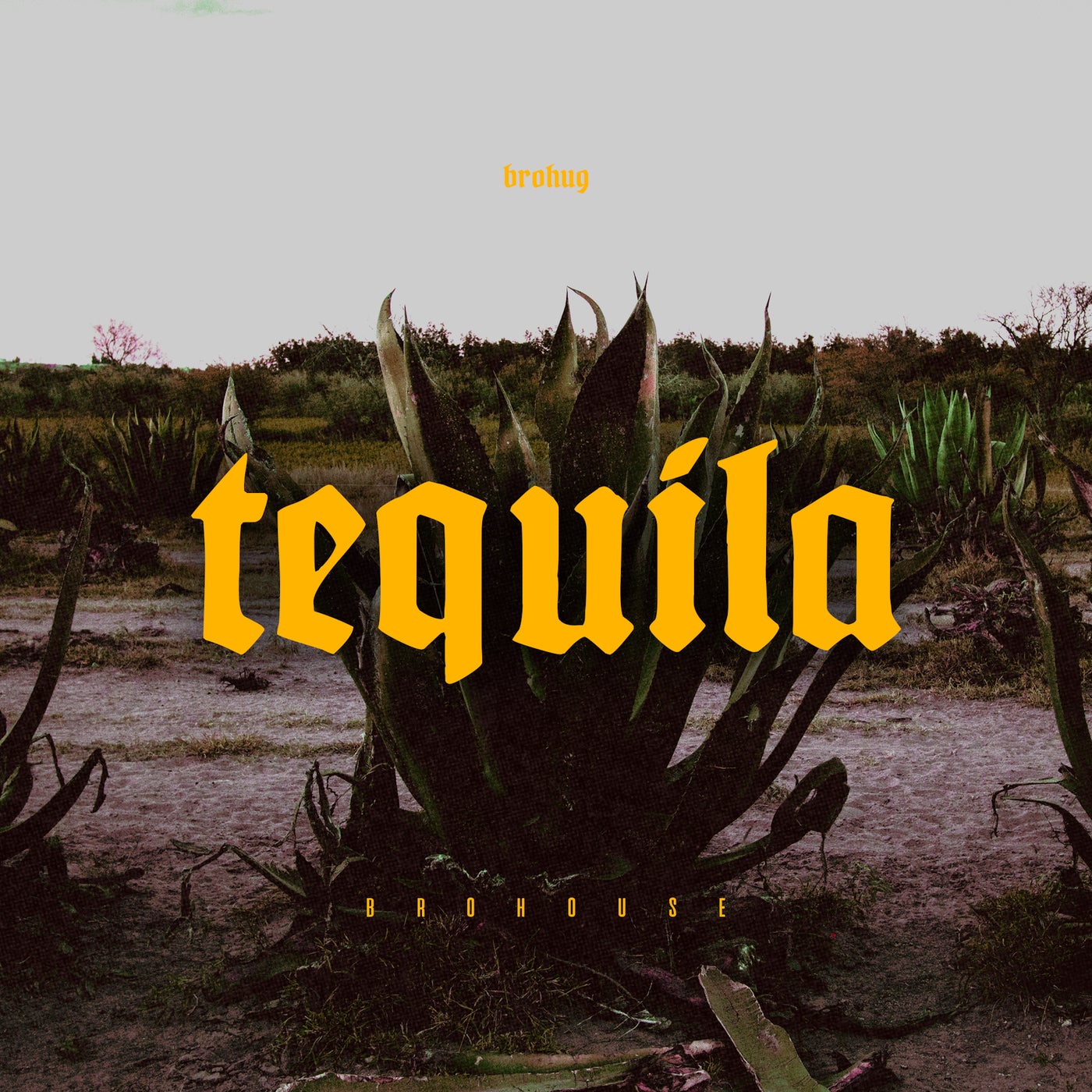 Cover - Brohug - Tequila (Original Mix)
