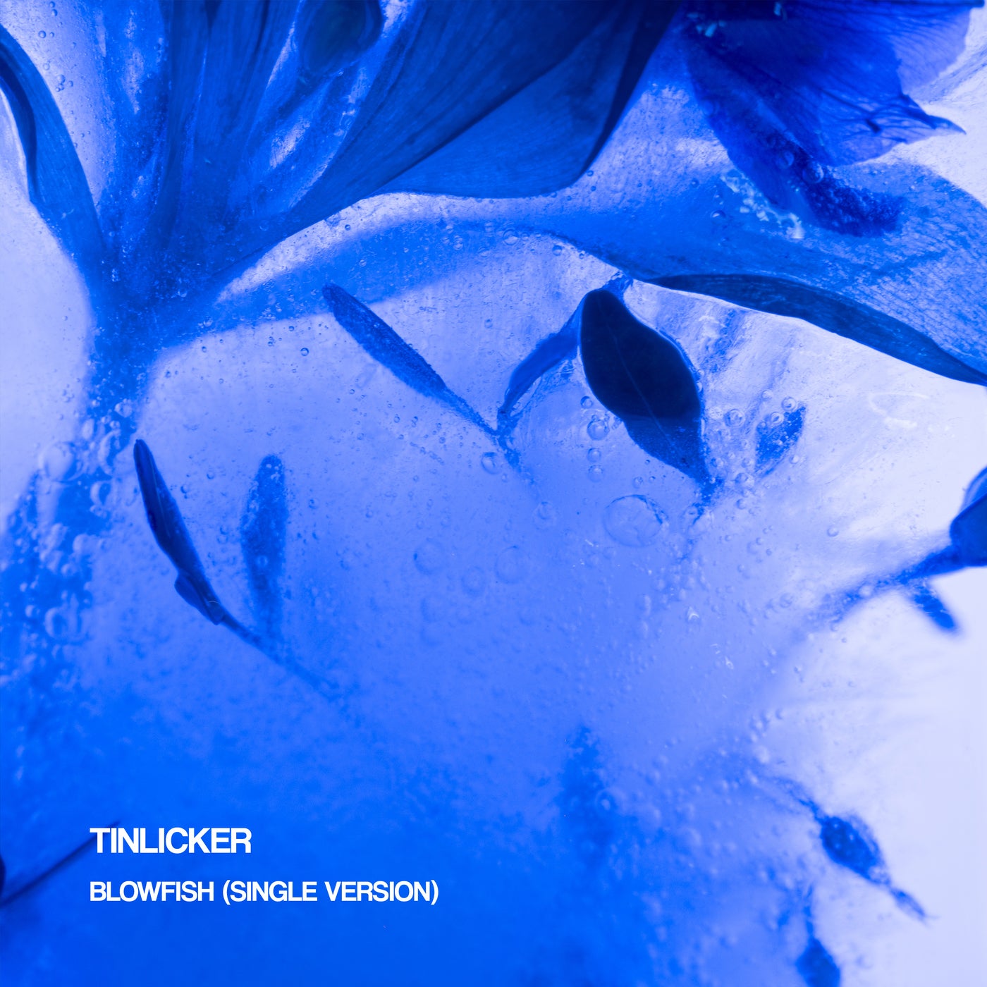 Cover - Tinlicker - Blowfish (Single Version)