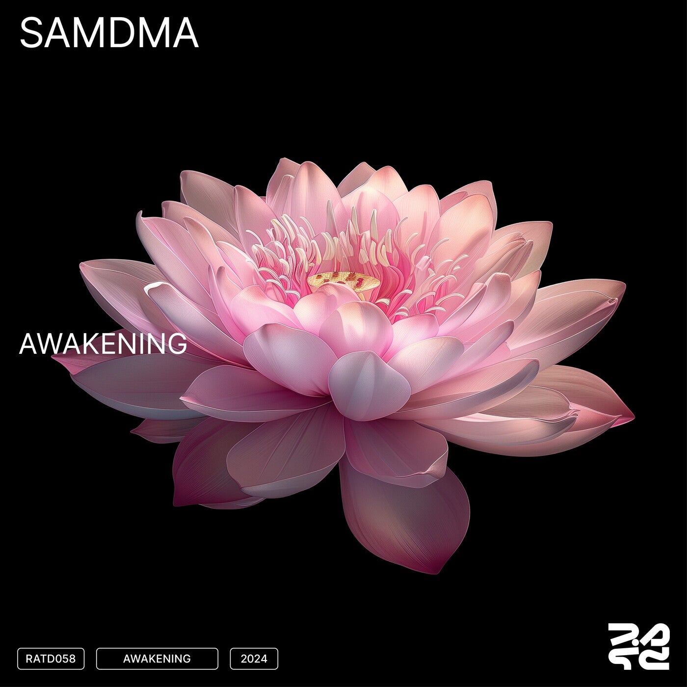 Cover - SAMDMA - Awakening (Original Mix)