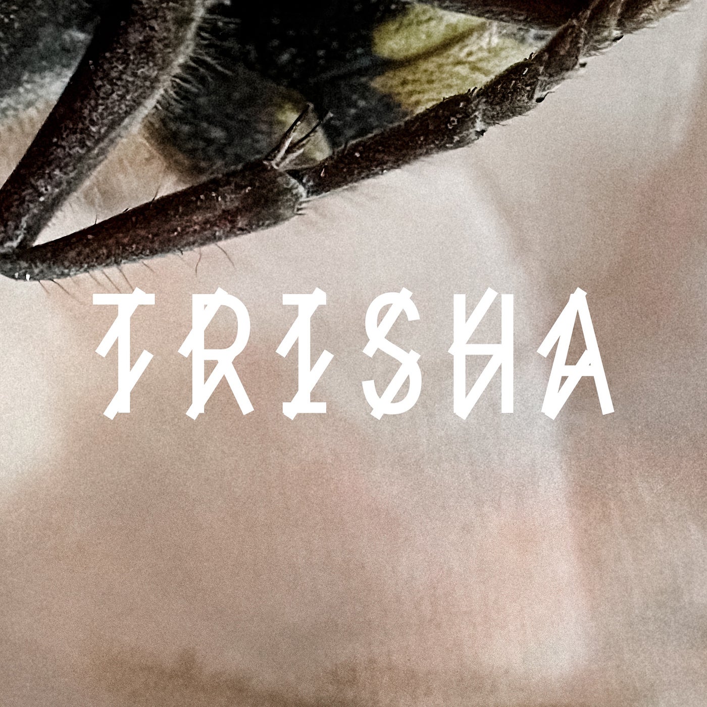Cover - Vtss - TRISHA (Original Mix)