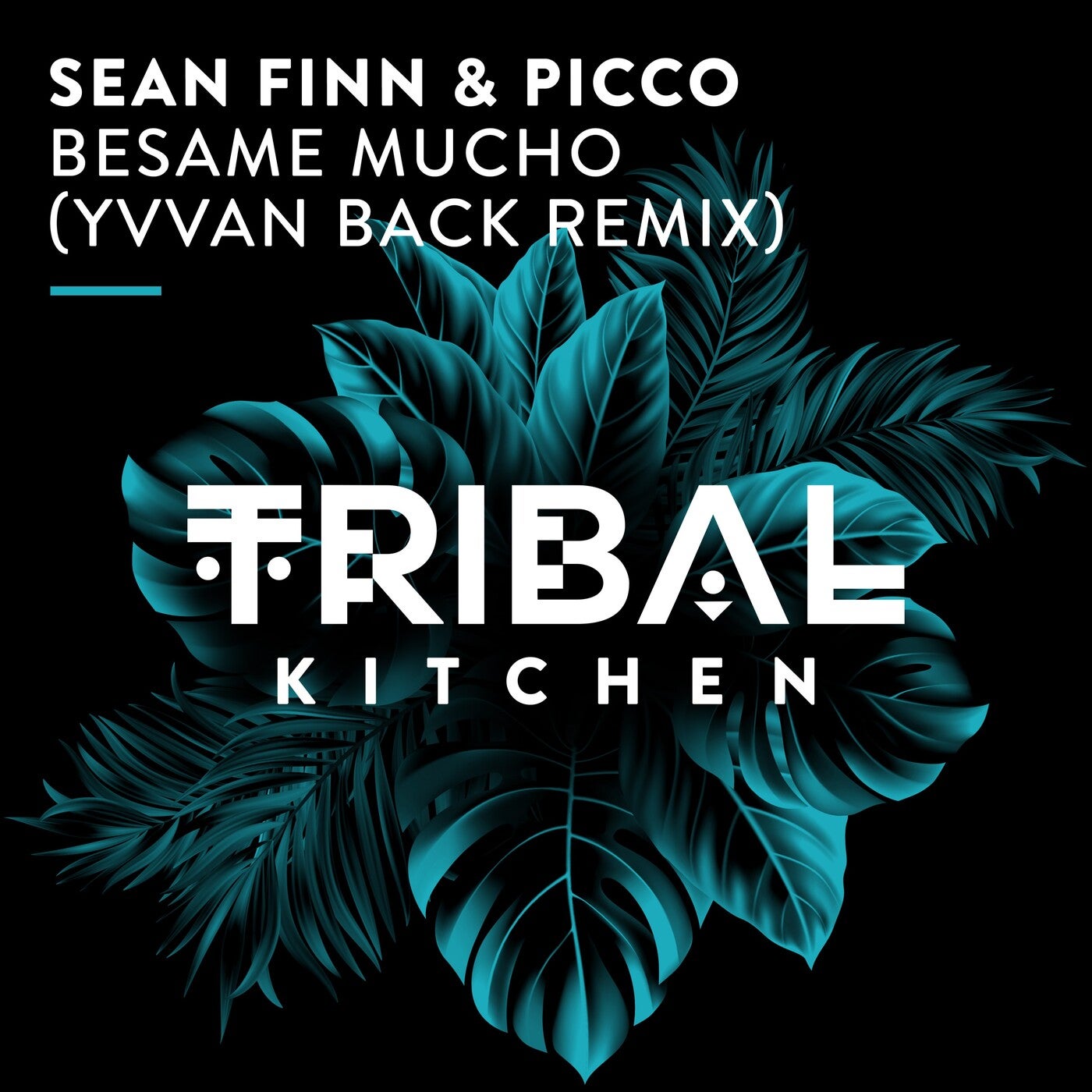 Cover - Sean Finn, Picco - Besame Mucho (Yvvan Back Extended Remix)