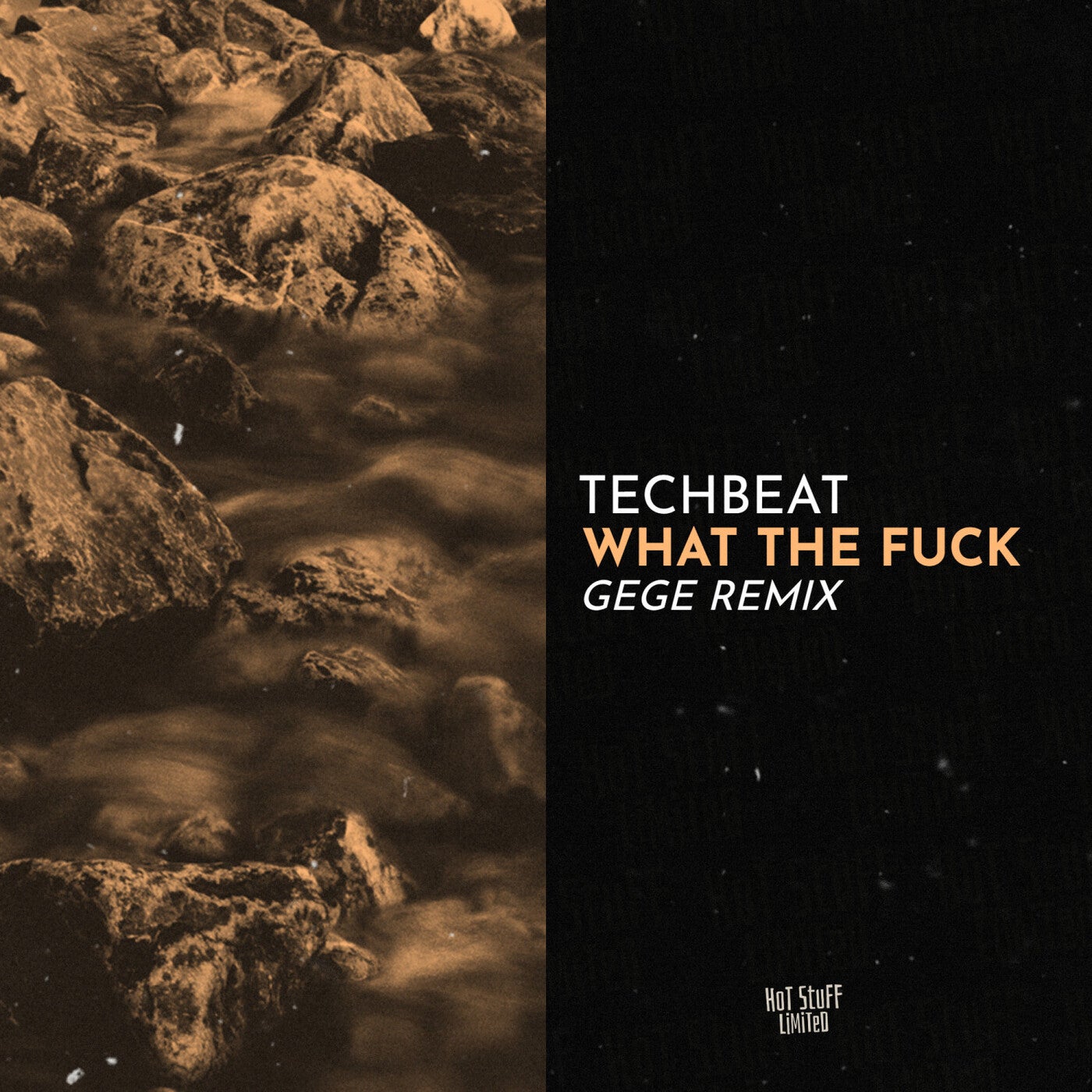 Cover - Techbeat - What The Fuck (Gege Remix)
