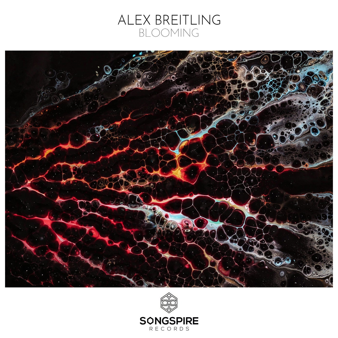 Cover - Alex Breitling - Blooming (Original Mix)