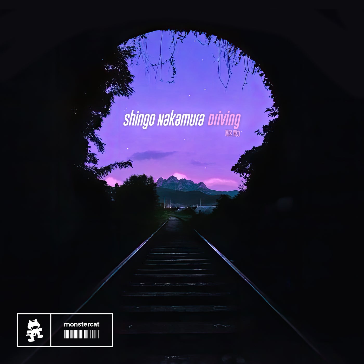 Cover - Shingo Nakamura - Driving (Extended Mix)