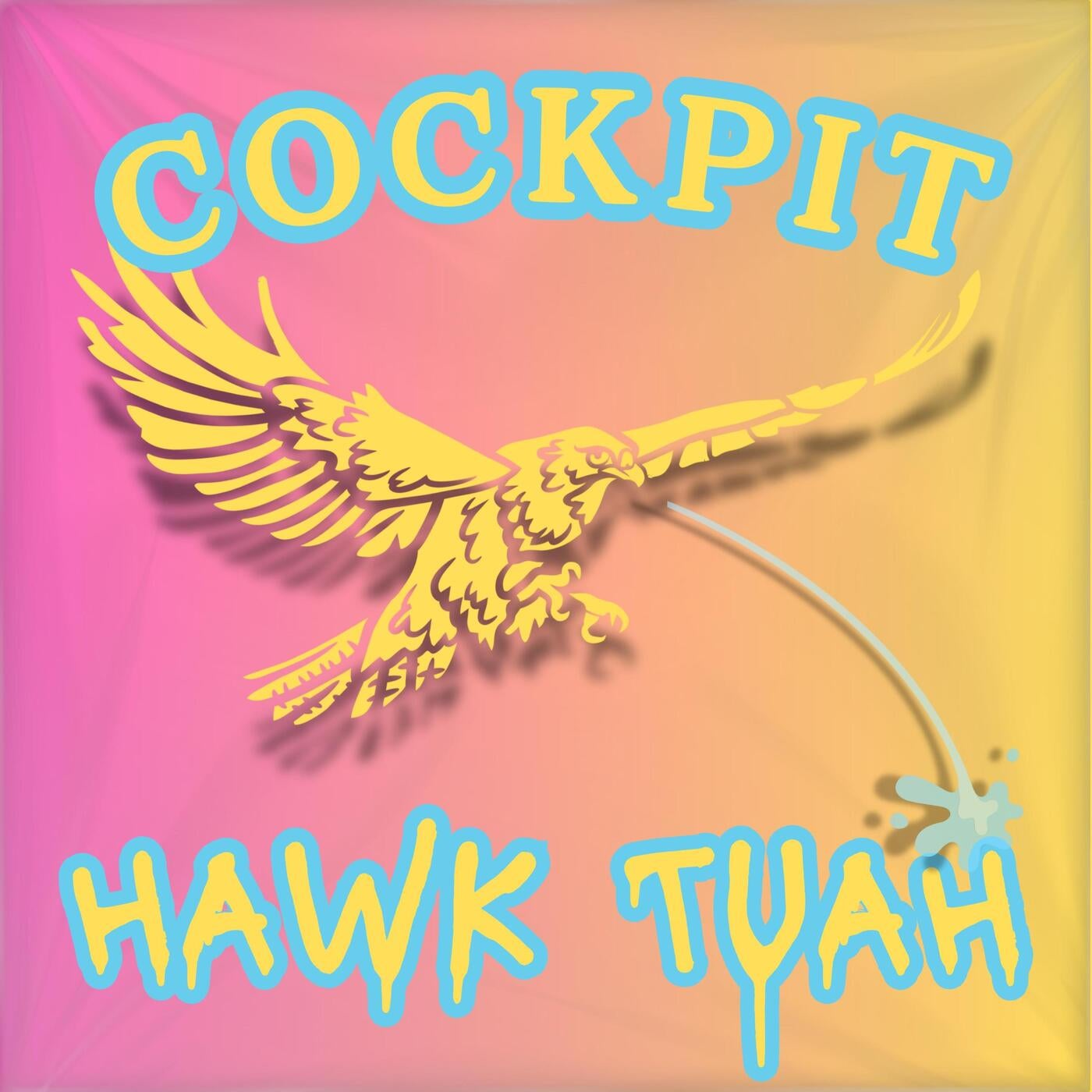 Cover - Cockpit - HAWK TUAH (Original Mix)