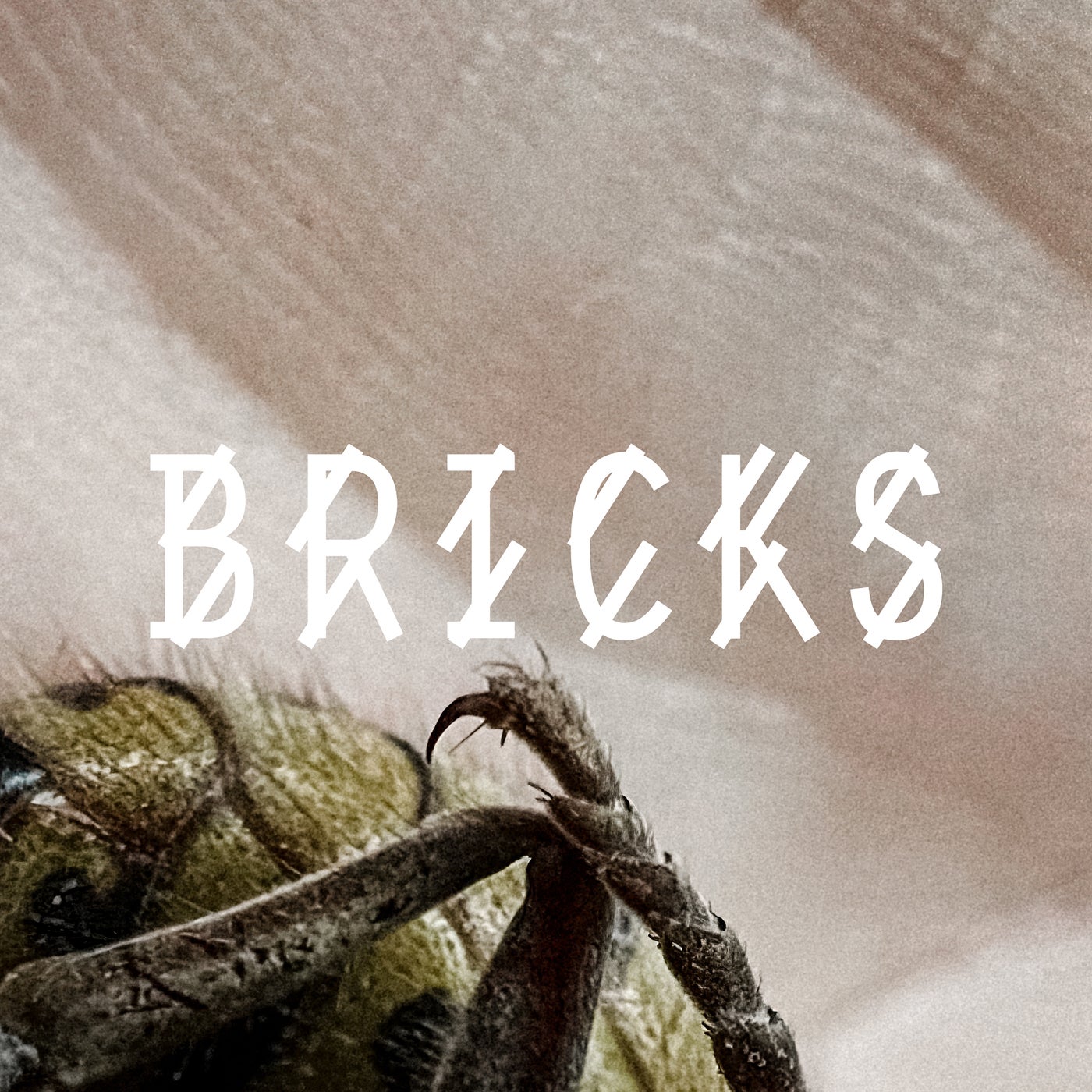 Cover - Somewhen, Bibi Bourelly - Bricks (Original Mix)