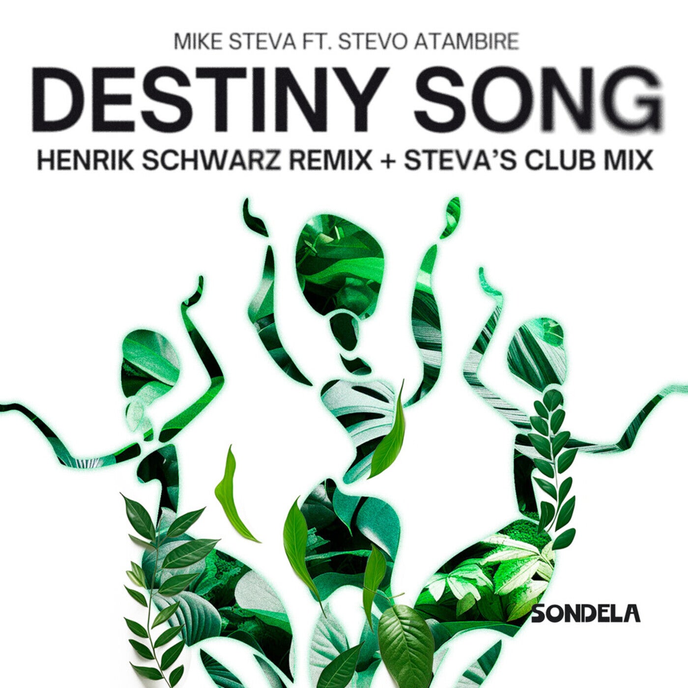 Cover - Mike Steva, Stevo Atambire - Destiny Song (Steva's Club Mix)