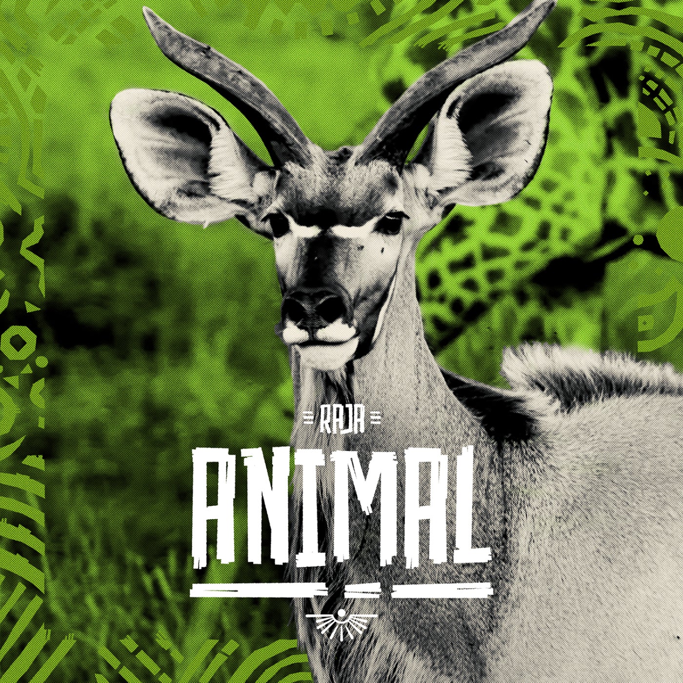 Cover - Raja - Animal (Original Mix)