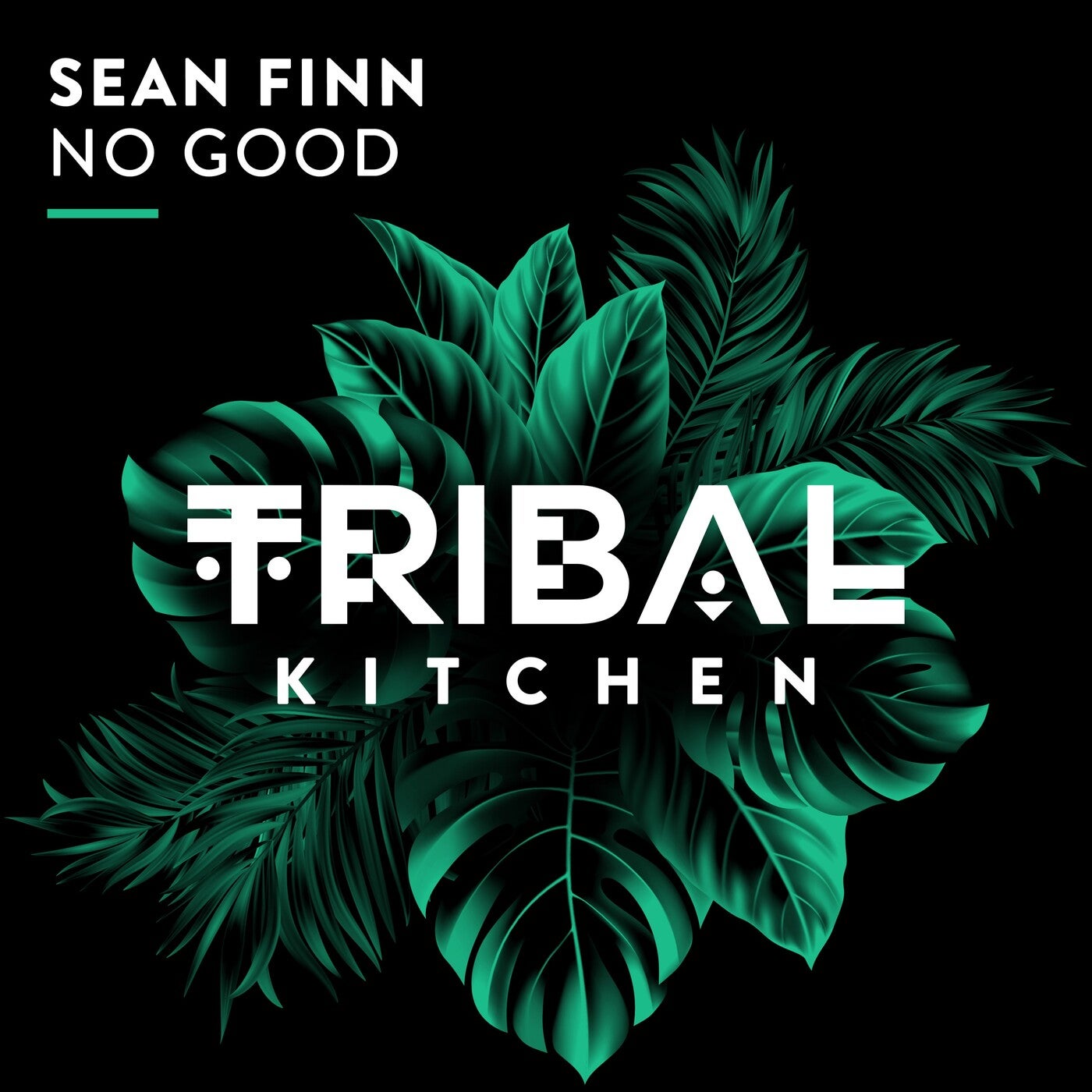 Cover - Sean Finn - No Good (Extended Mix)
