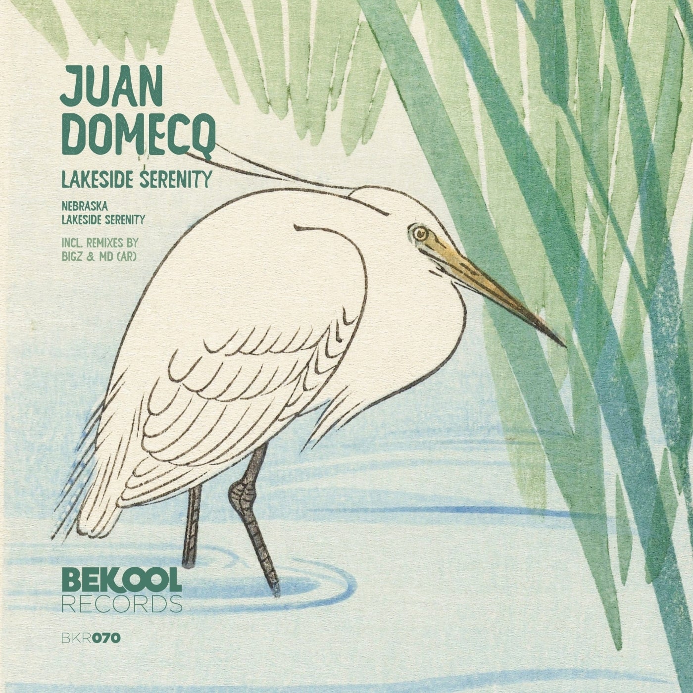 Cover - Juan Domecq - Lakeside Serenity (Original Mix)