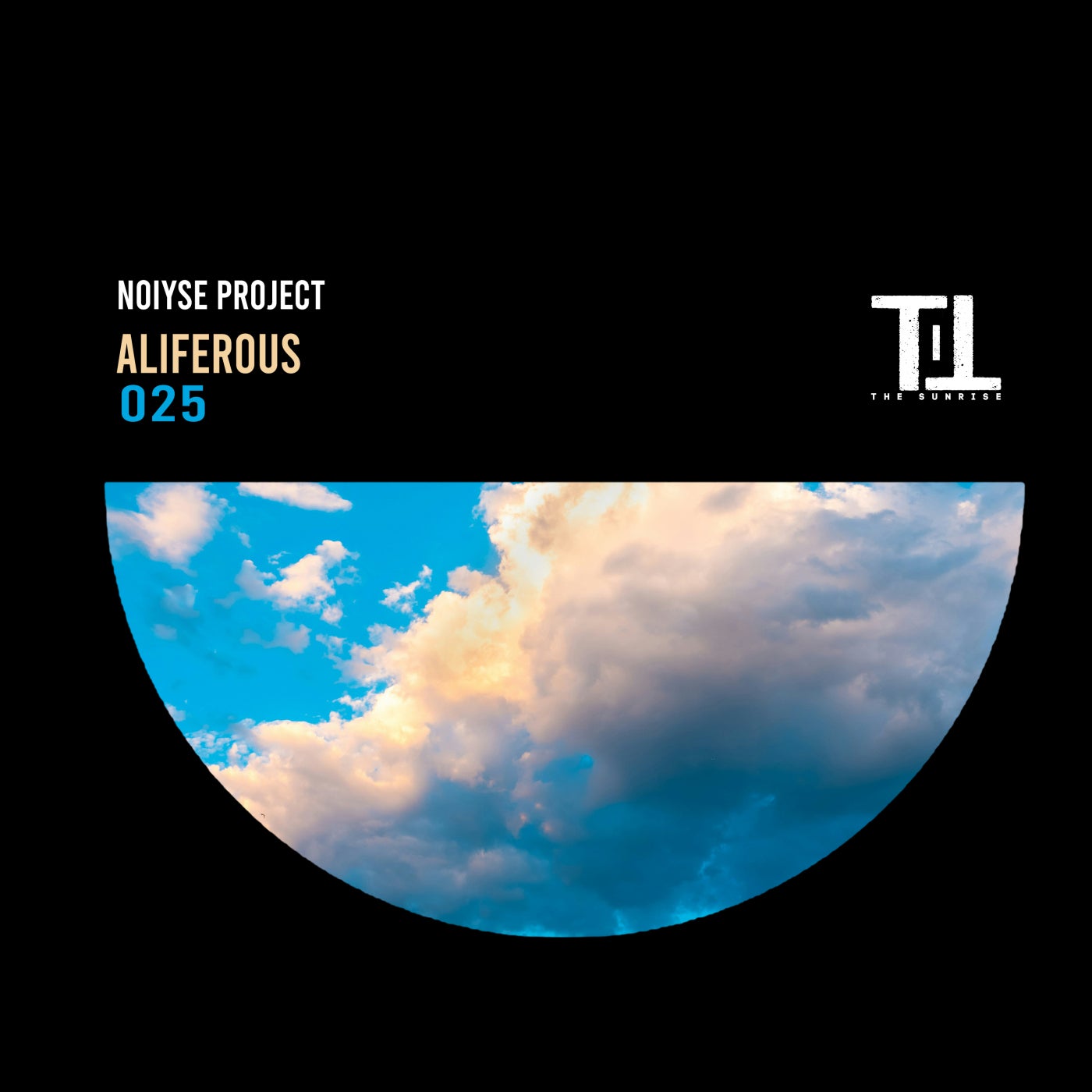 Cover - NOIYSE PROJECT - Aliferous (Original Mix)