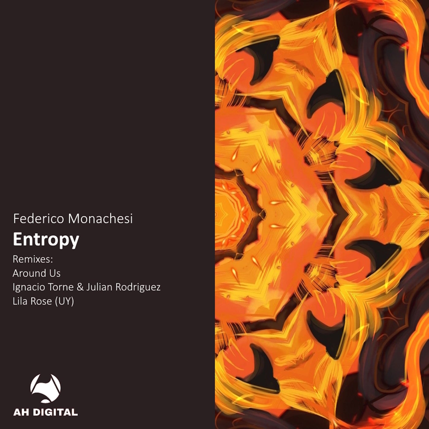Cover - Federico Monachesi - Entropy (Ignacio Torne & Julian Rodriguez Remix)