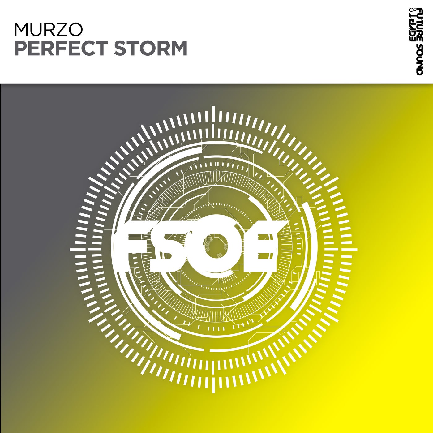 Cover - MurZo - Perfect Storm (Extended Mix)