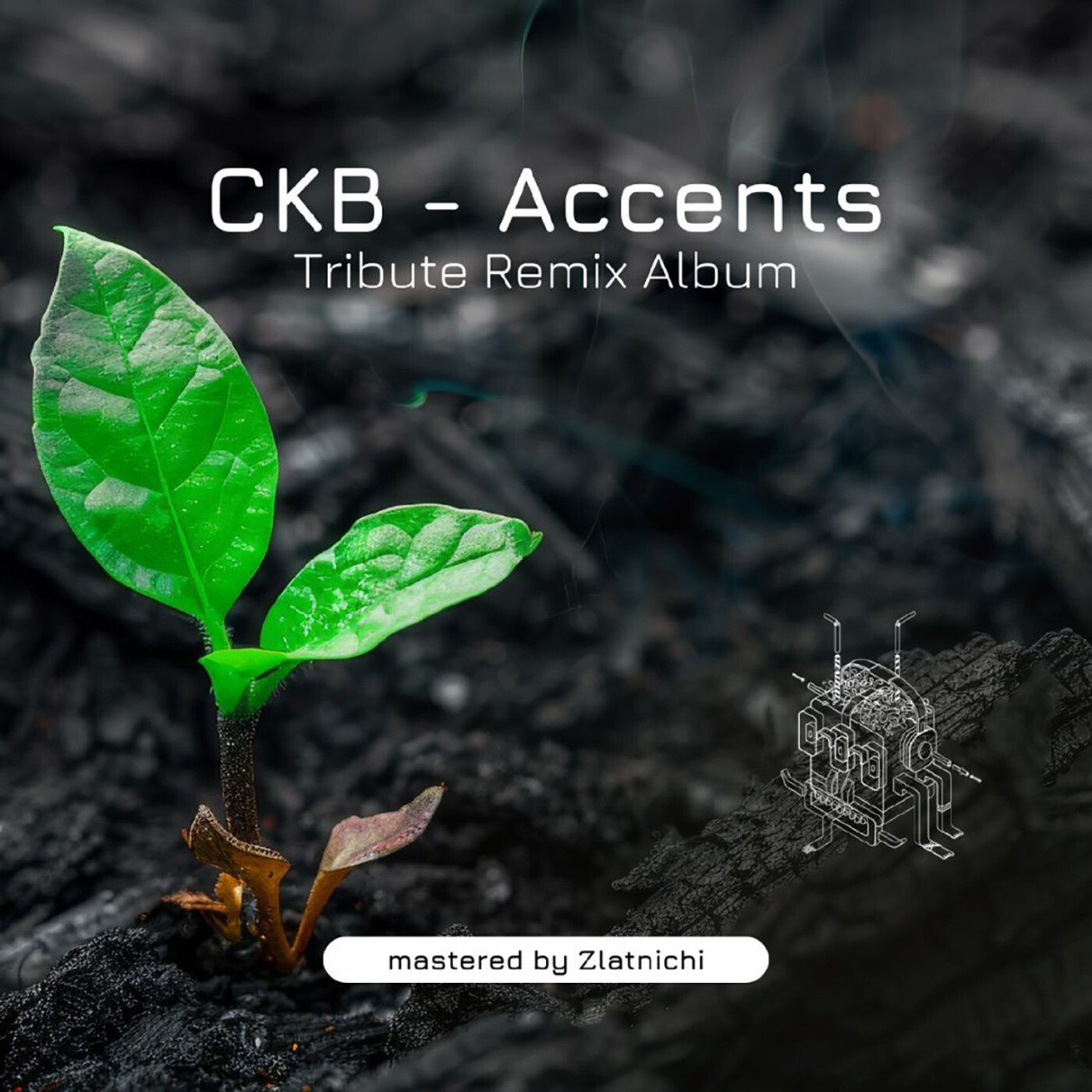 Cover - Ckb - Accents (Clarkent Remix)