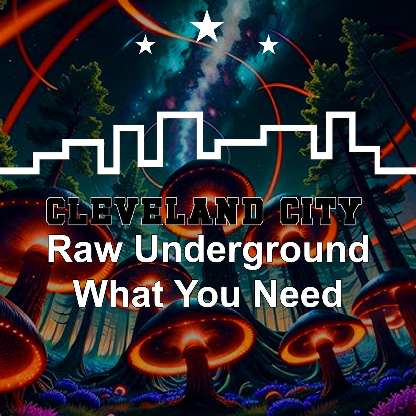 Cover - Raw Underground - What You Need (Original Mix)