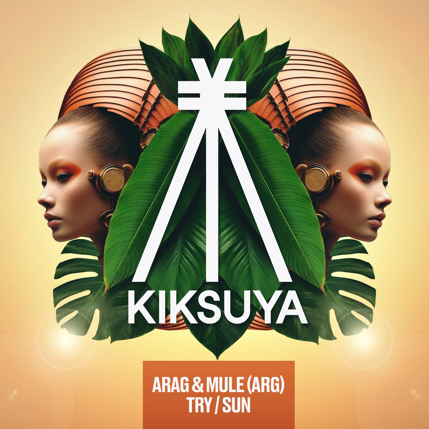Cover - Mule (ARG), Arag - Try (Extended Mix)