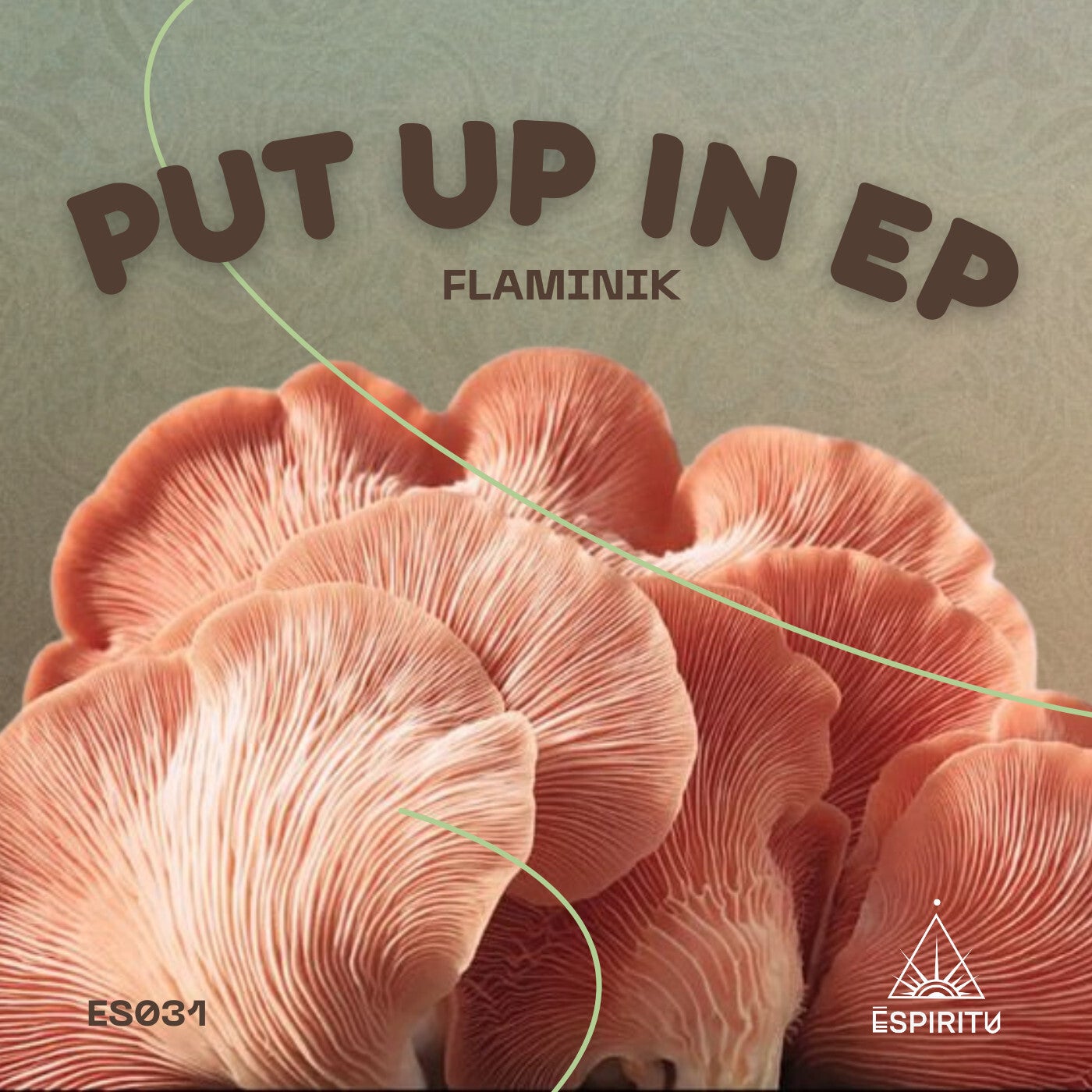 Cover - Flaminik - Put Up In (Original Mix)