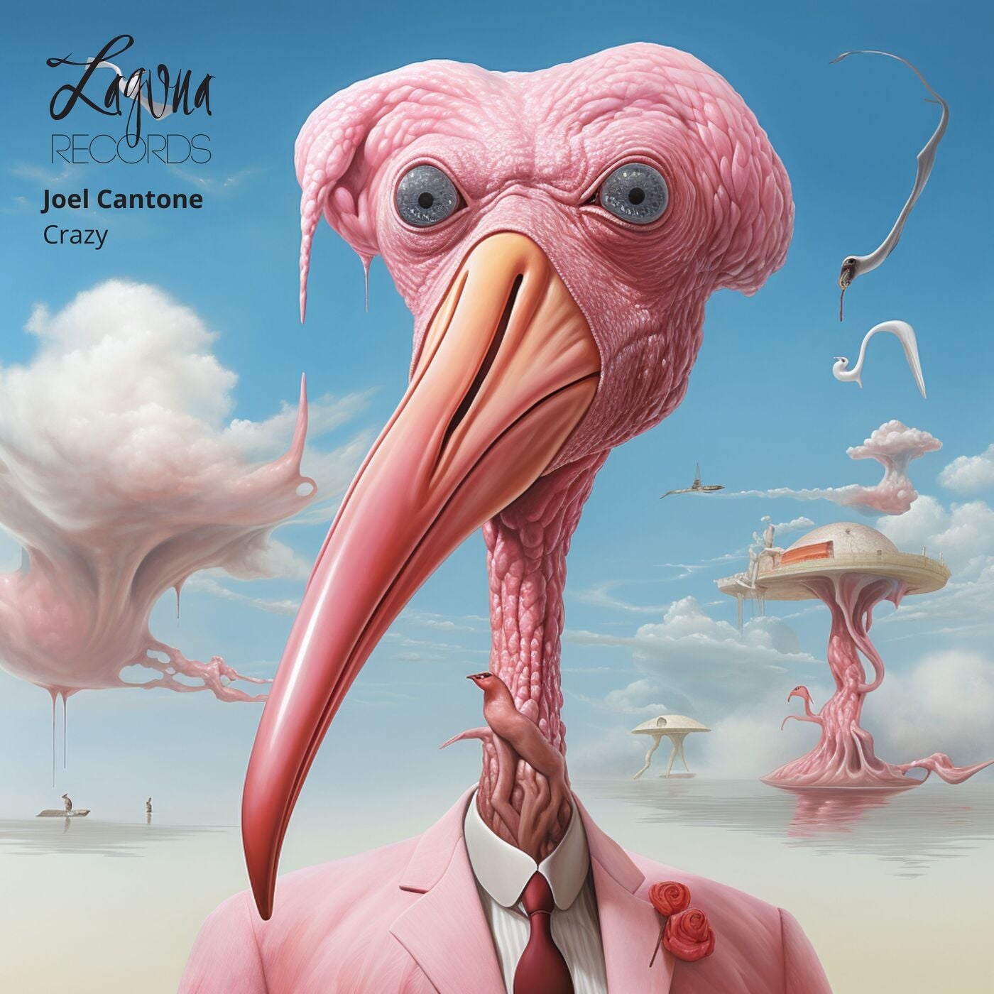 Cover - Joel Cantone - Crazy (Original Mix)