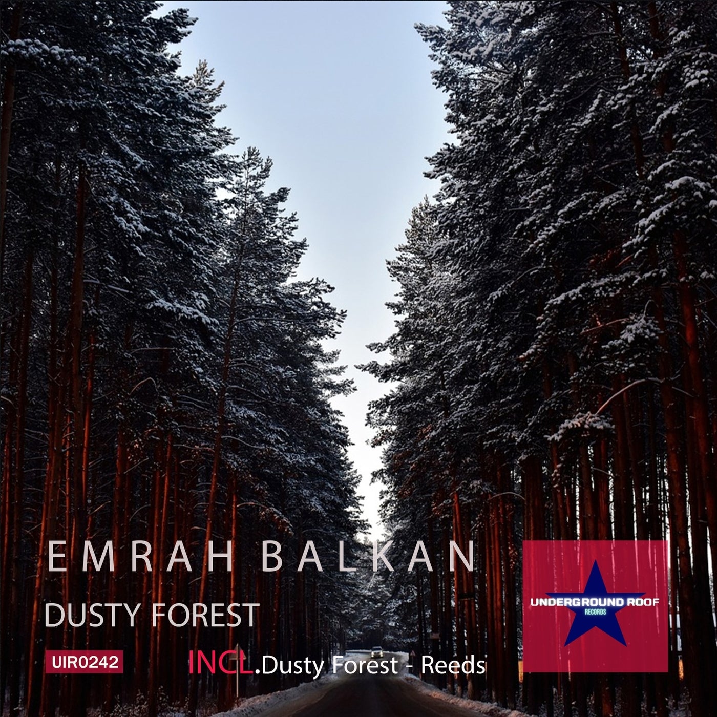 Cover - Emrah Balkan - Dusty Forest (Original Mix)