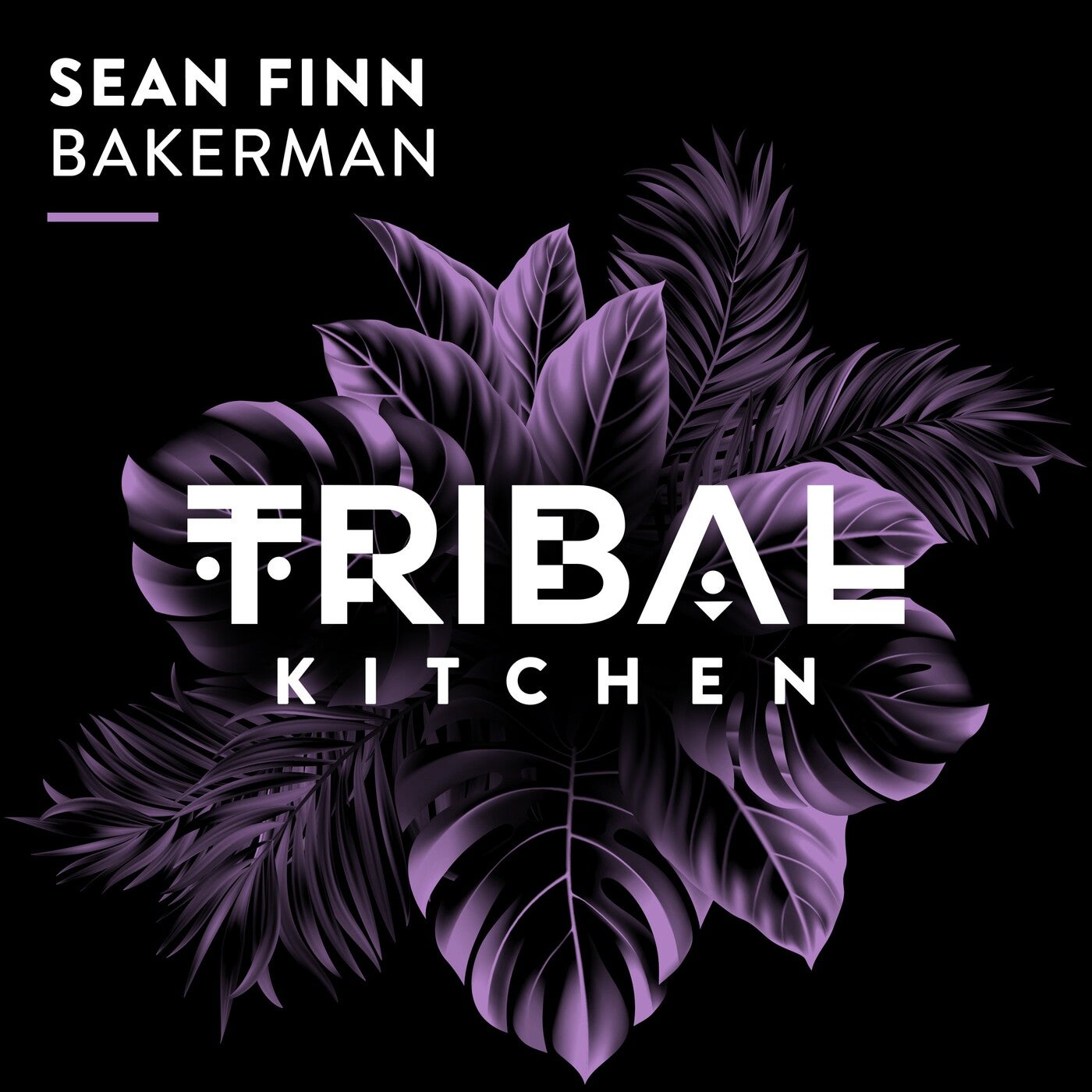 Cover - Sean Finn - Bakerman (Extended Mix)