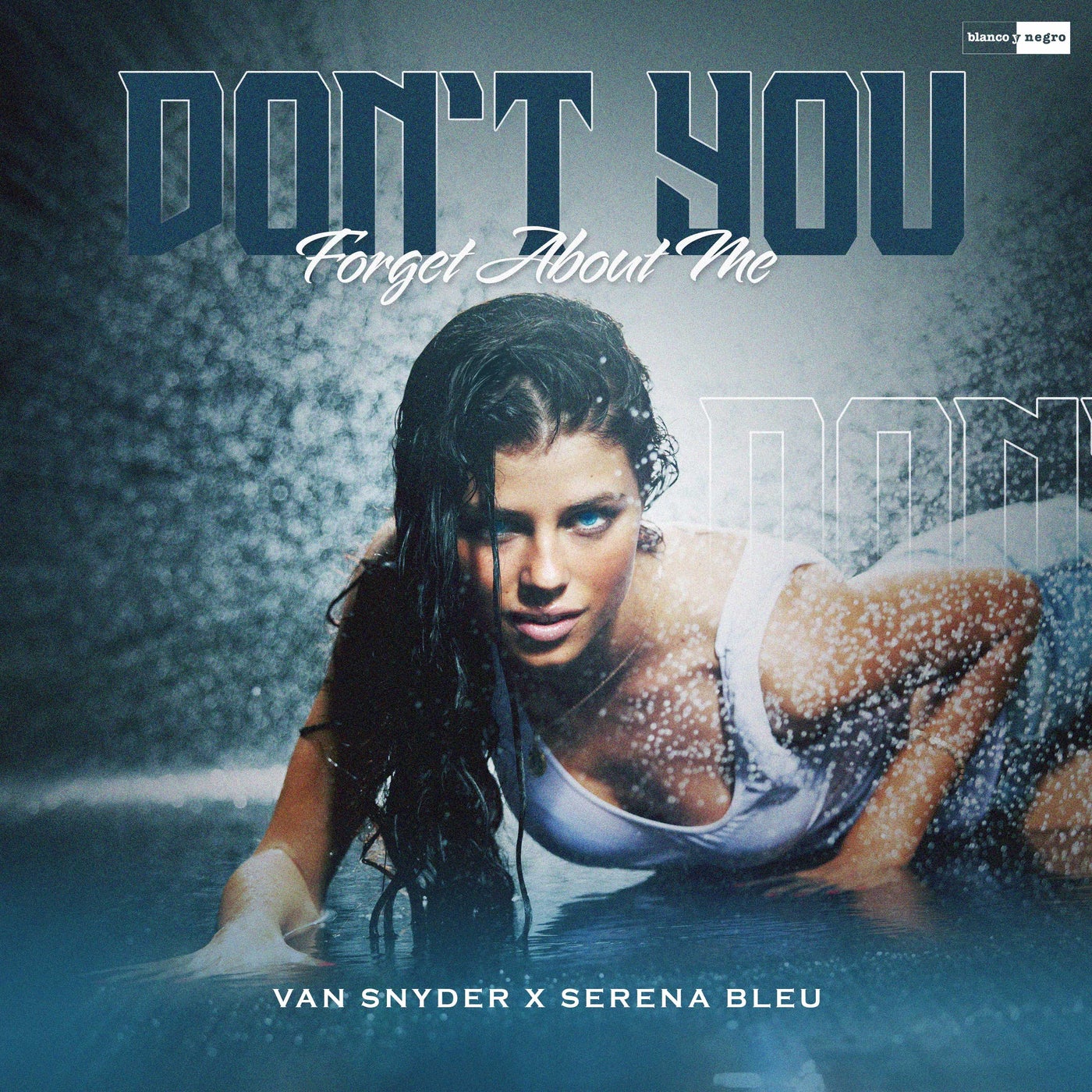 Cover - Van Snyder, Serena Bleu - Dont You (Forget About Me) (Forget About Me)