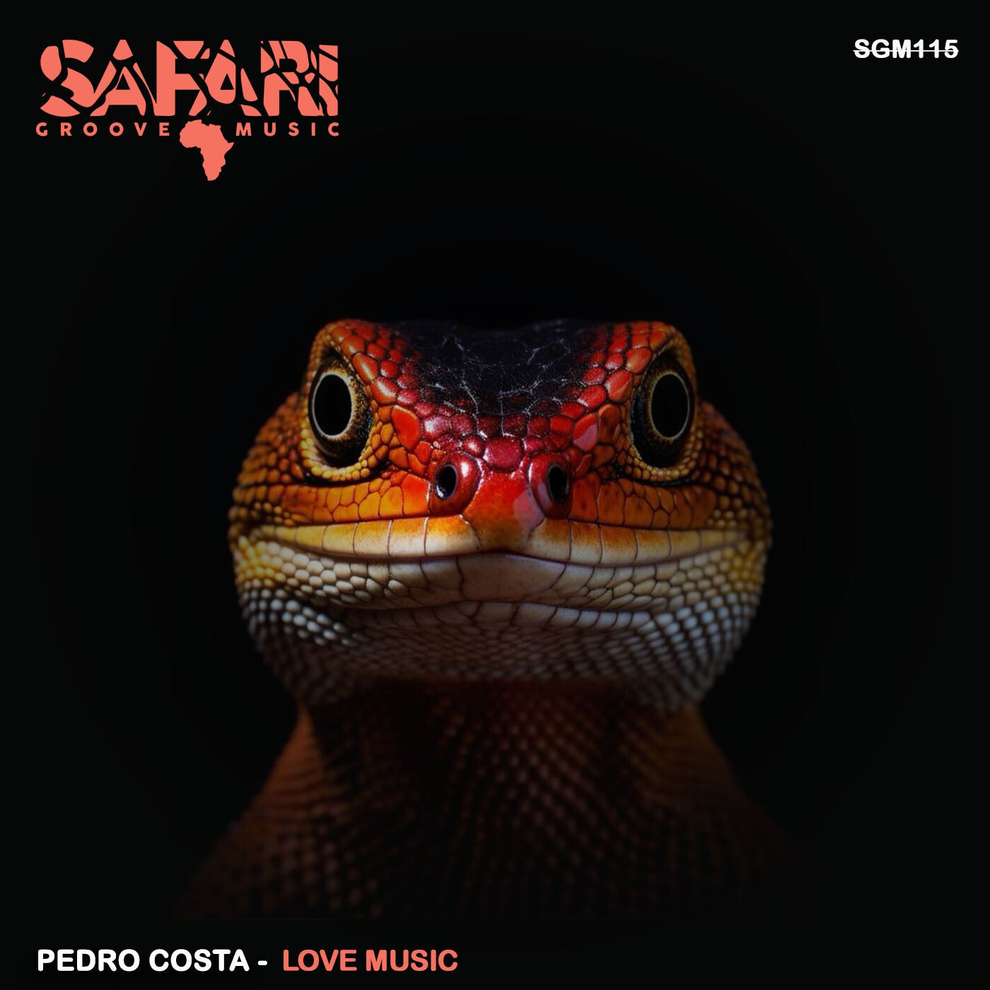 Cover - Pedro Costa - Love Music (Original Mix)