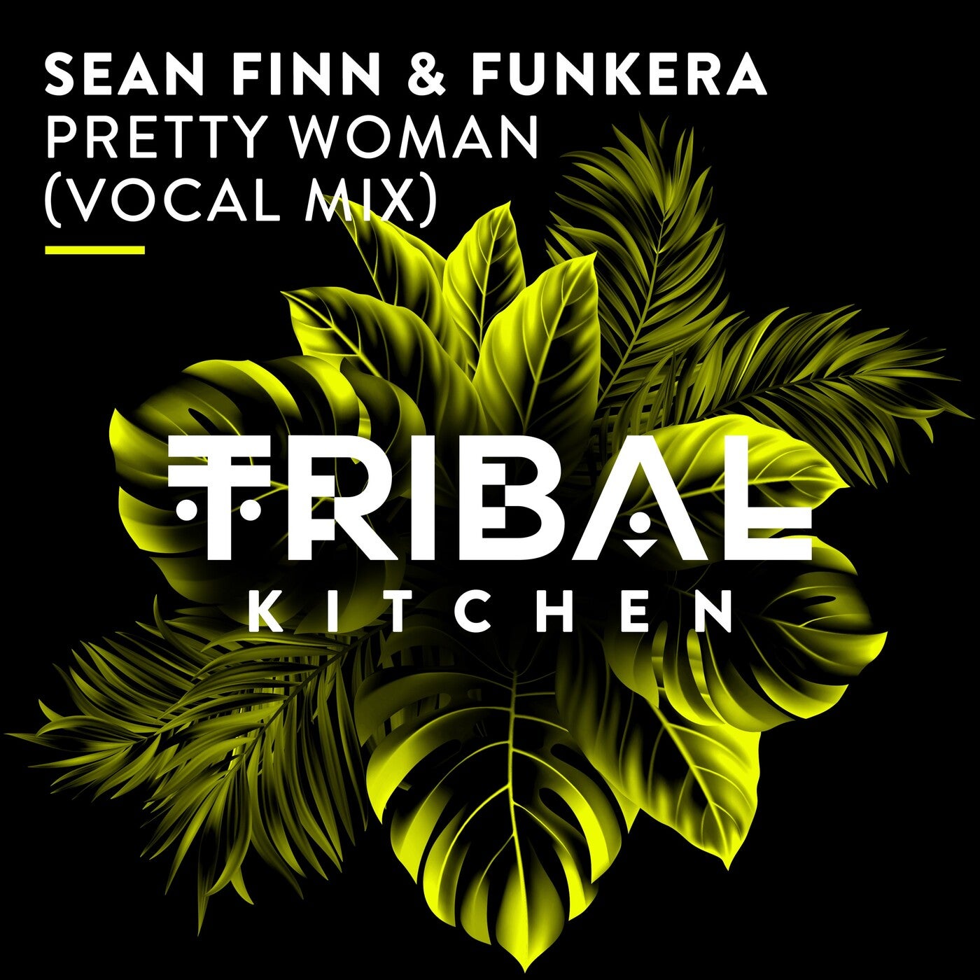 Cover - Sean Finn, Funkera - Pretty Woman (Extended Vocal Mix)