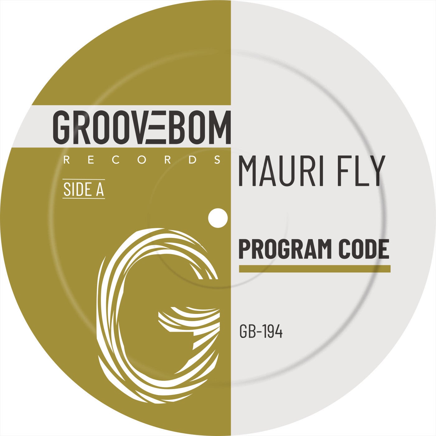 Cover - Mauri Fly - Program Code (Extended Mix)
