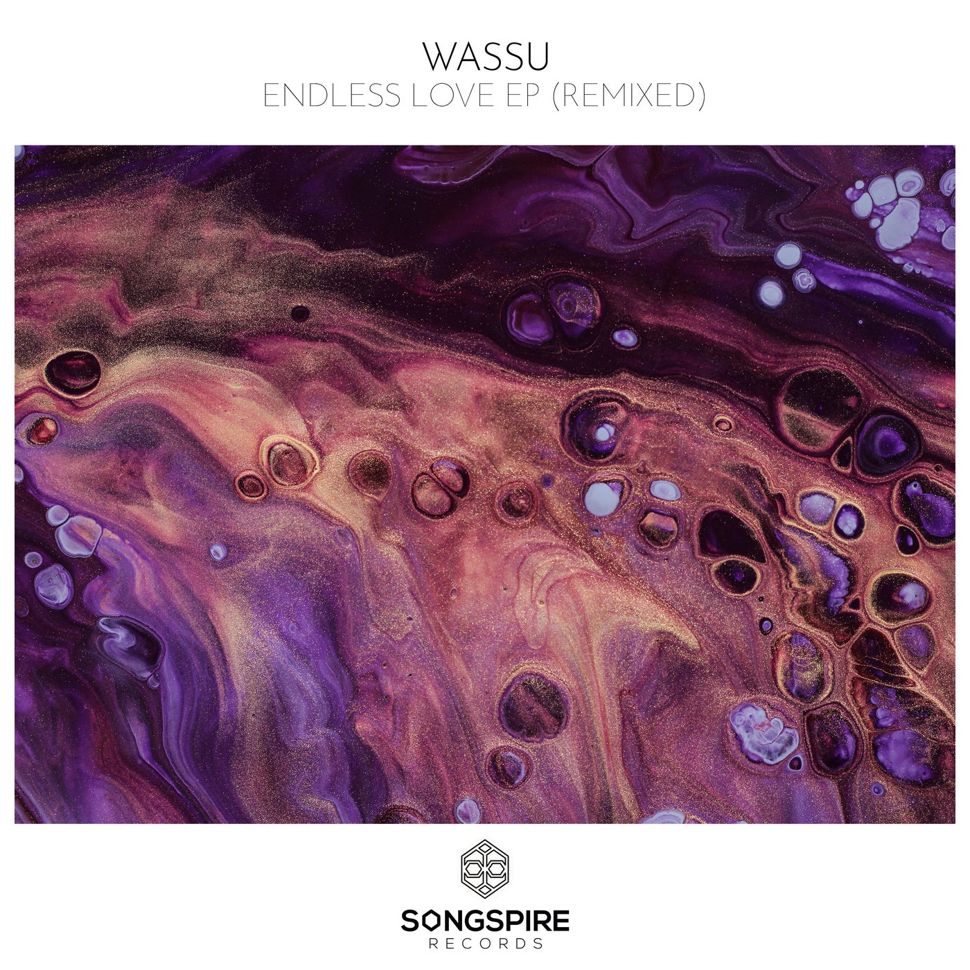 Cover - Wassu - Endless Love (HAFT Remix)