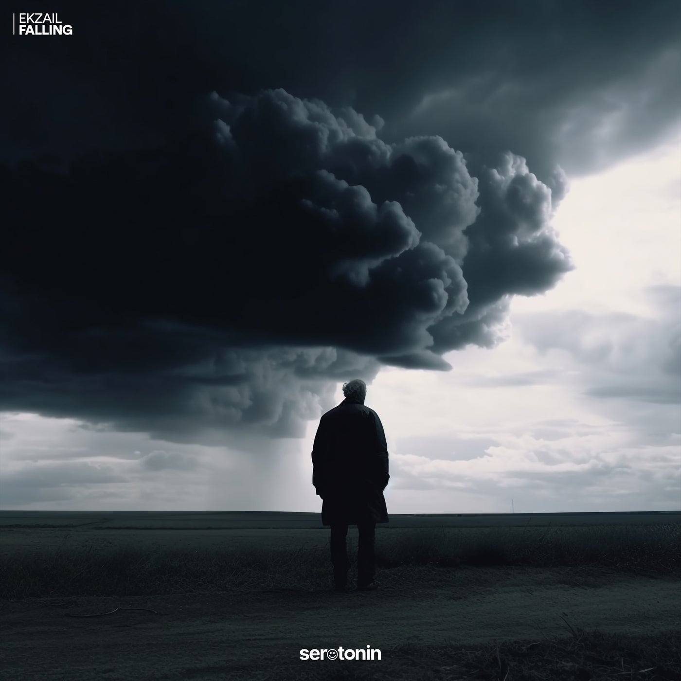 Cover - Ekzail - Falling (Extended Mix)