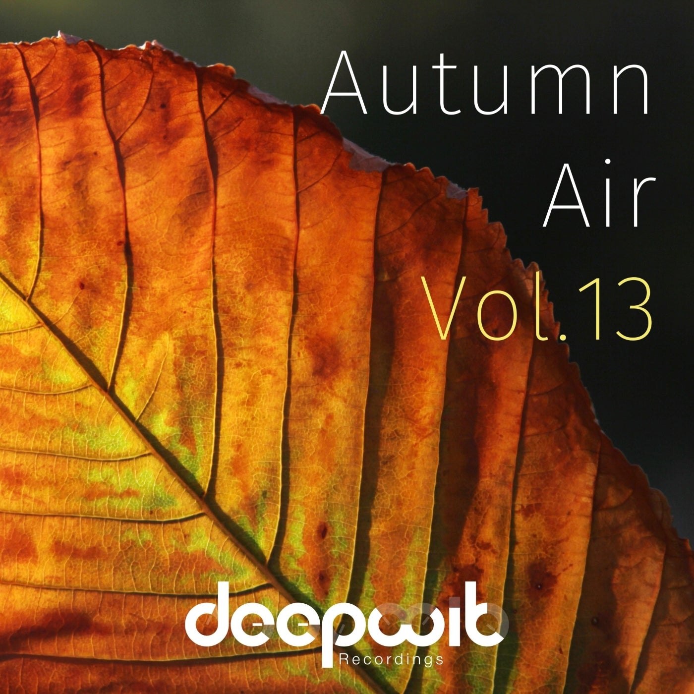 Cover - Pat Jensenn - Natural Skin (Original Mix)