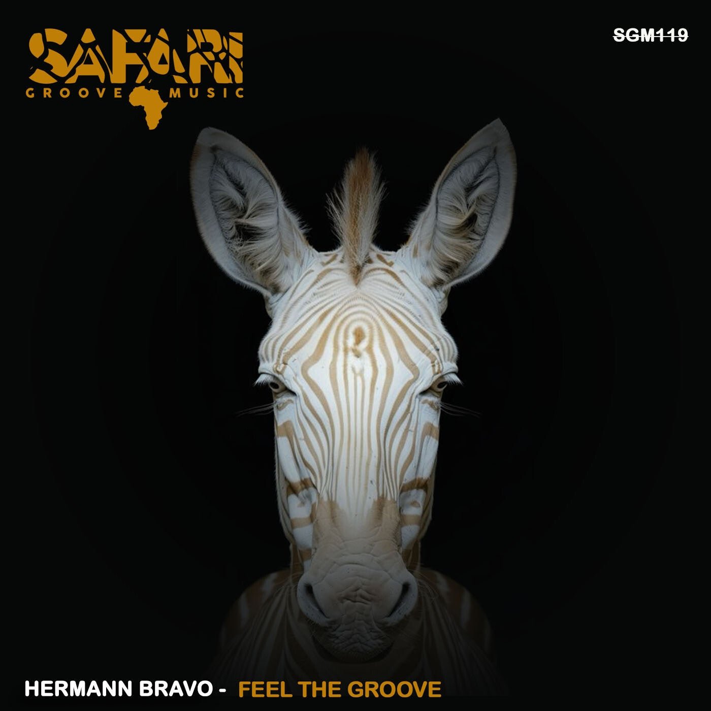Cover - Hermann Bravo - Break It Down (Original Mix)