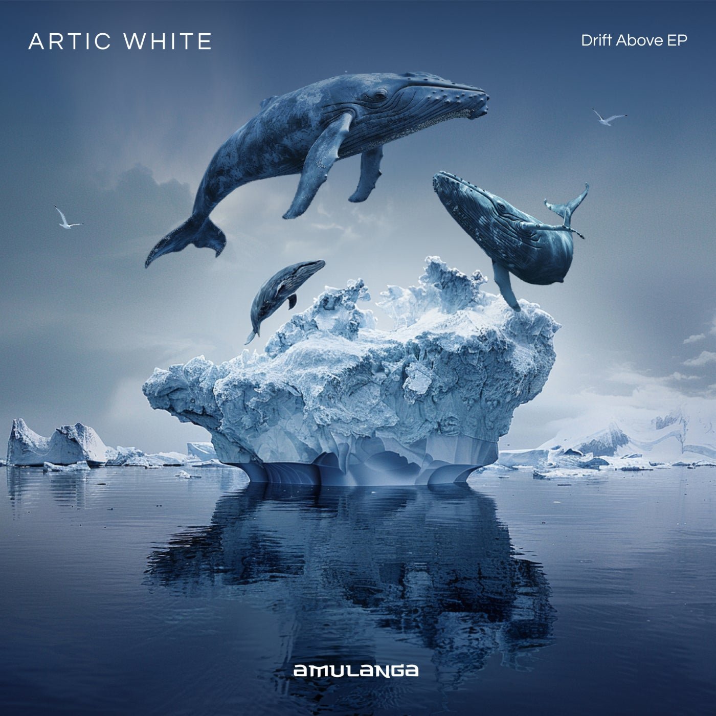 Cover - Artic White - The Groove Garden (Extendet Mix)
