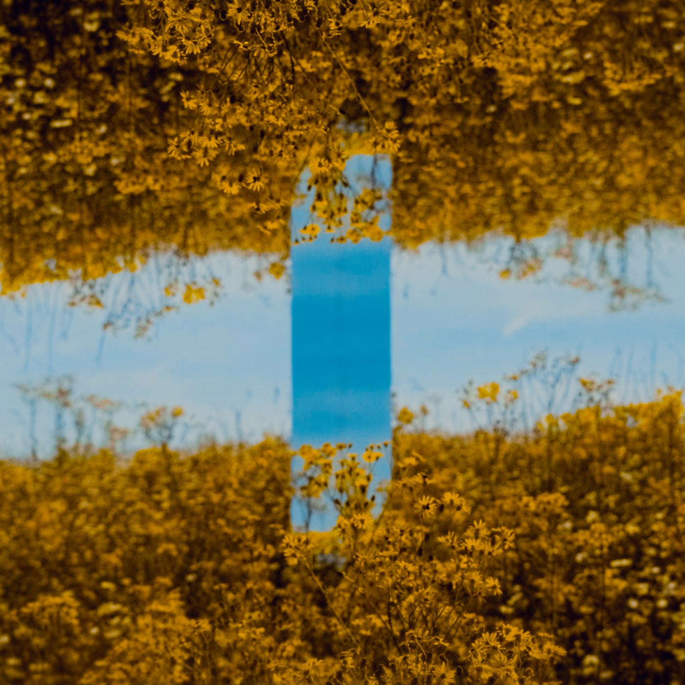 Cover - Aalson - World Of Reflections ((Mitch De Klein Remix))